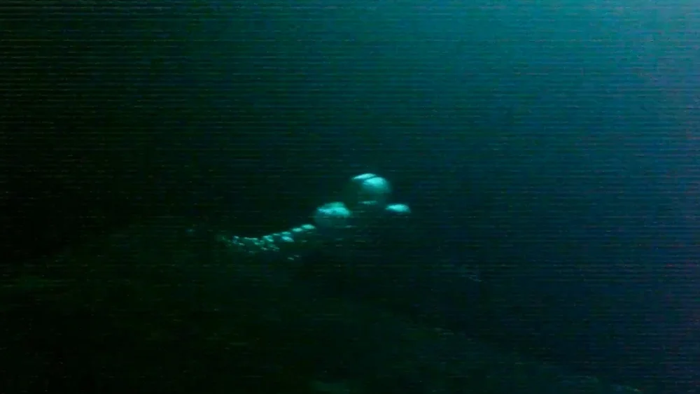 How You Shimmer Still016.jpeg