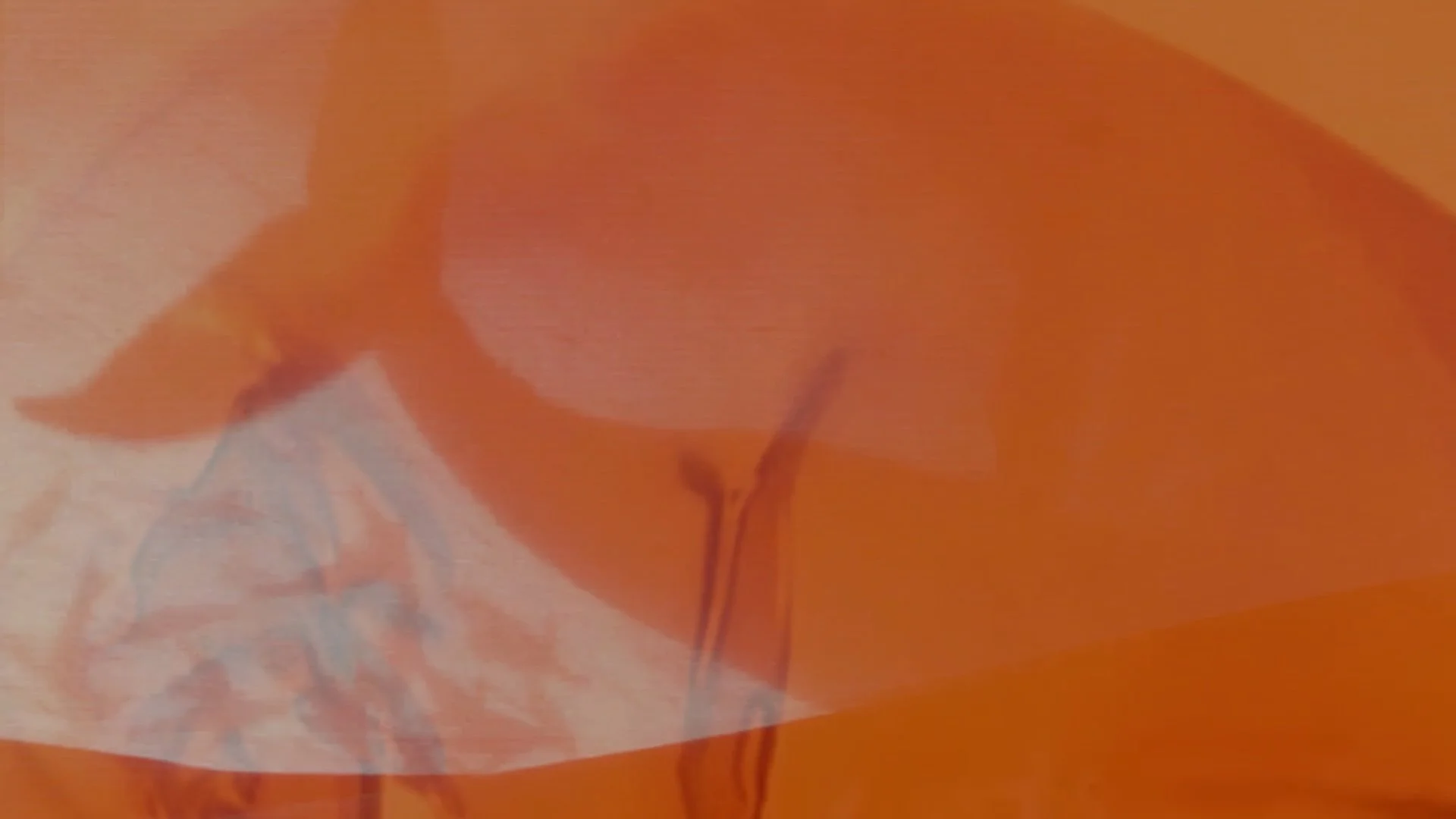 How You Shimmer Still008.jpeg