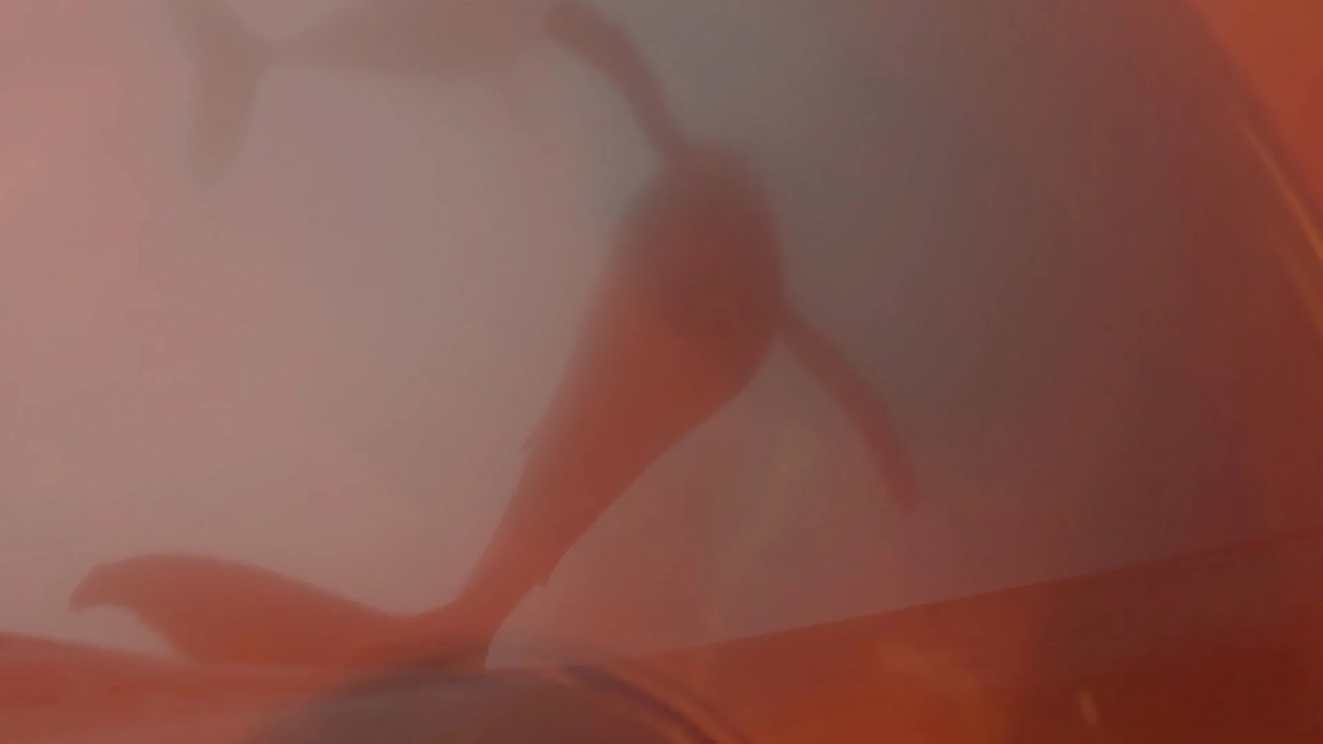 How You Shimmer Still003.jpeg