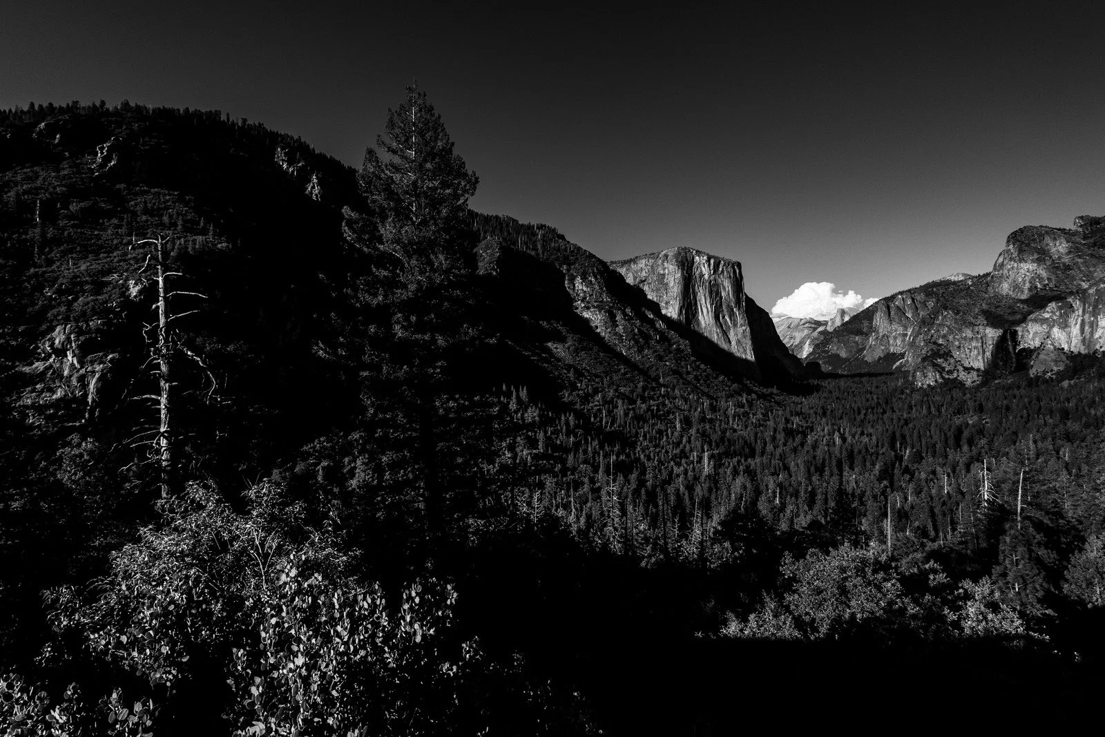 Yosemite