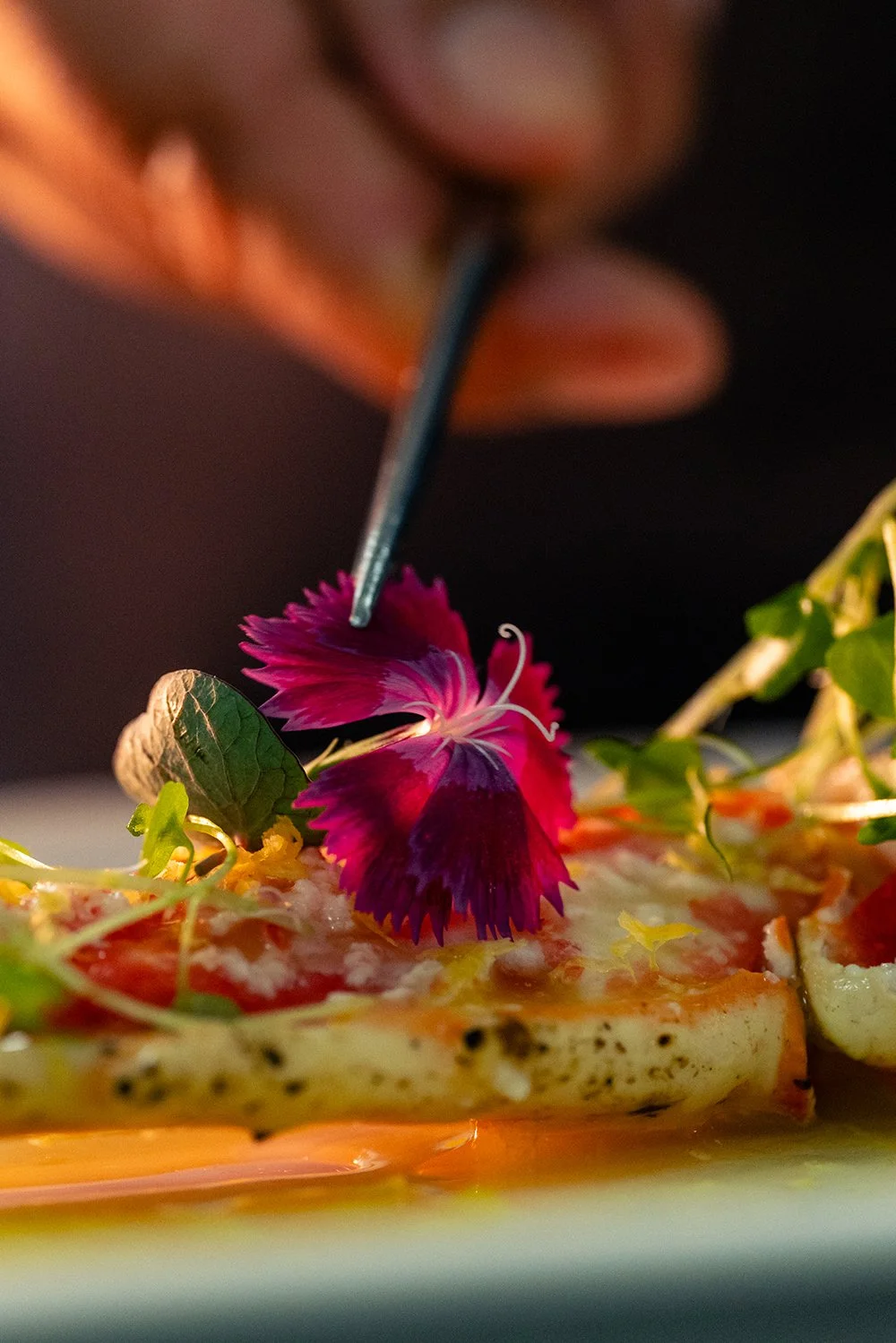 JOHN MARSLAND-1070755.jpg