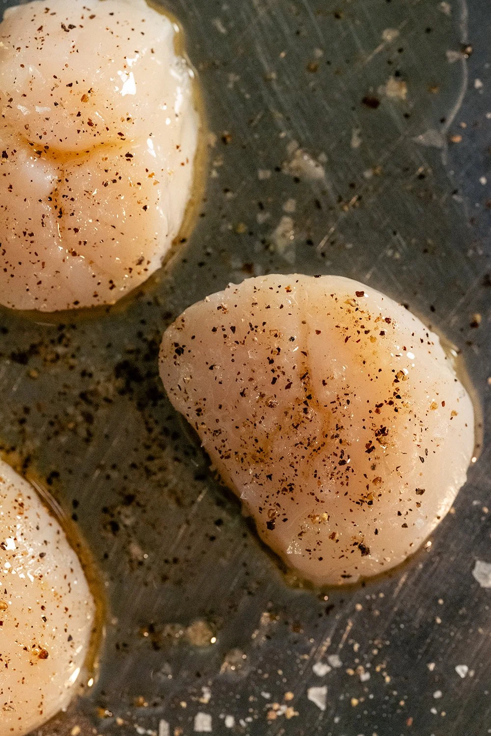 JOHN MARSLAND-1070835.jpg