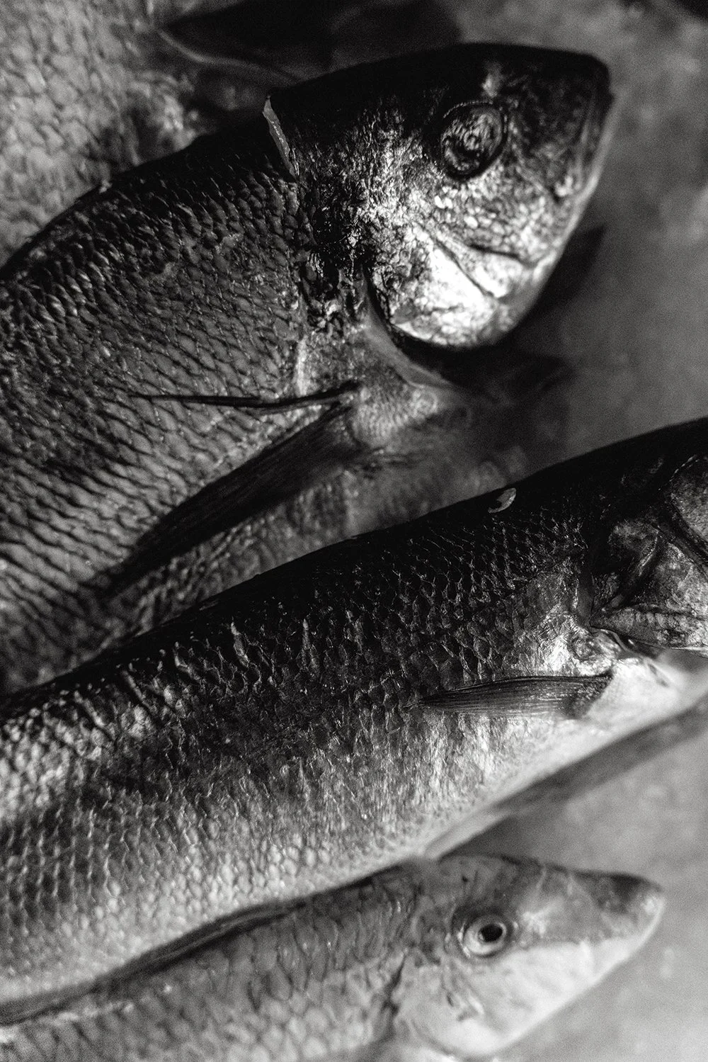 JOHN MARSLAND-1270648.jpg