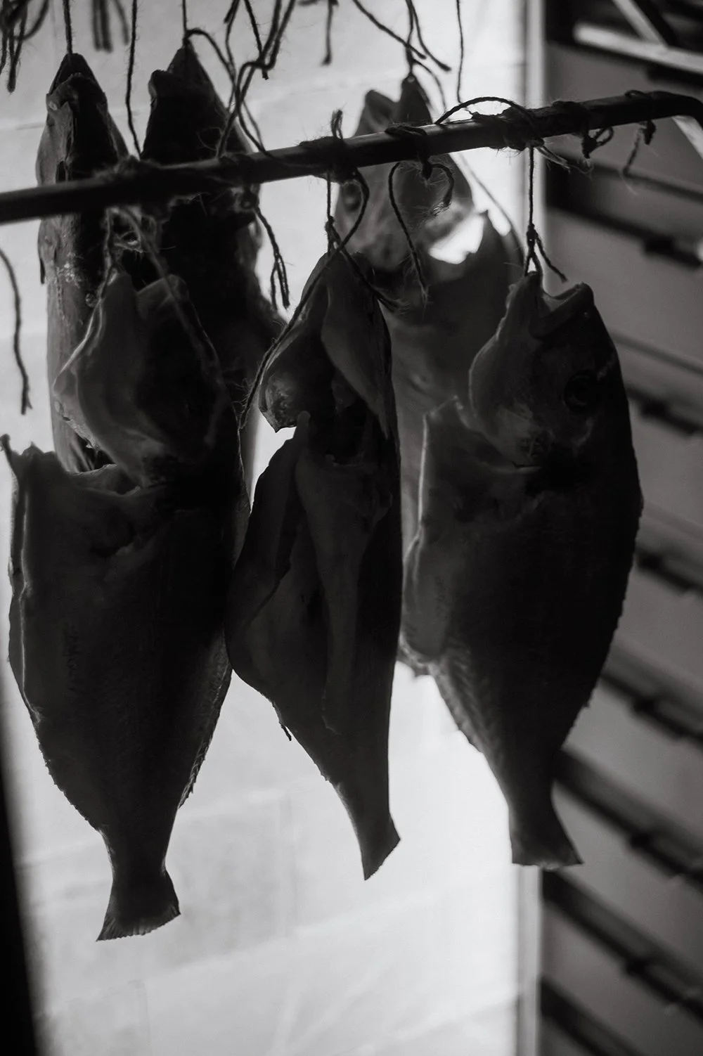 JOHN MARSLAND-1004122.jpg