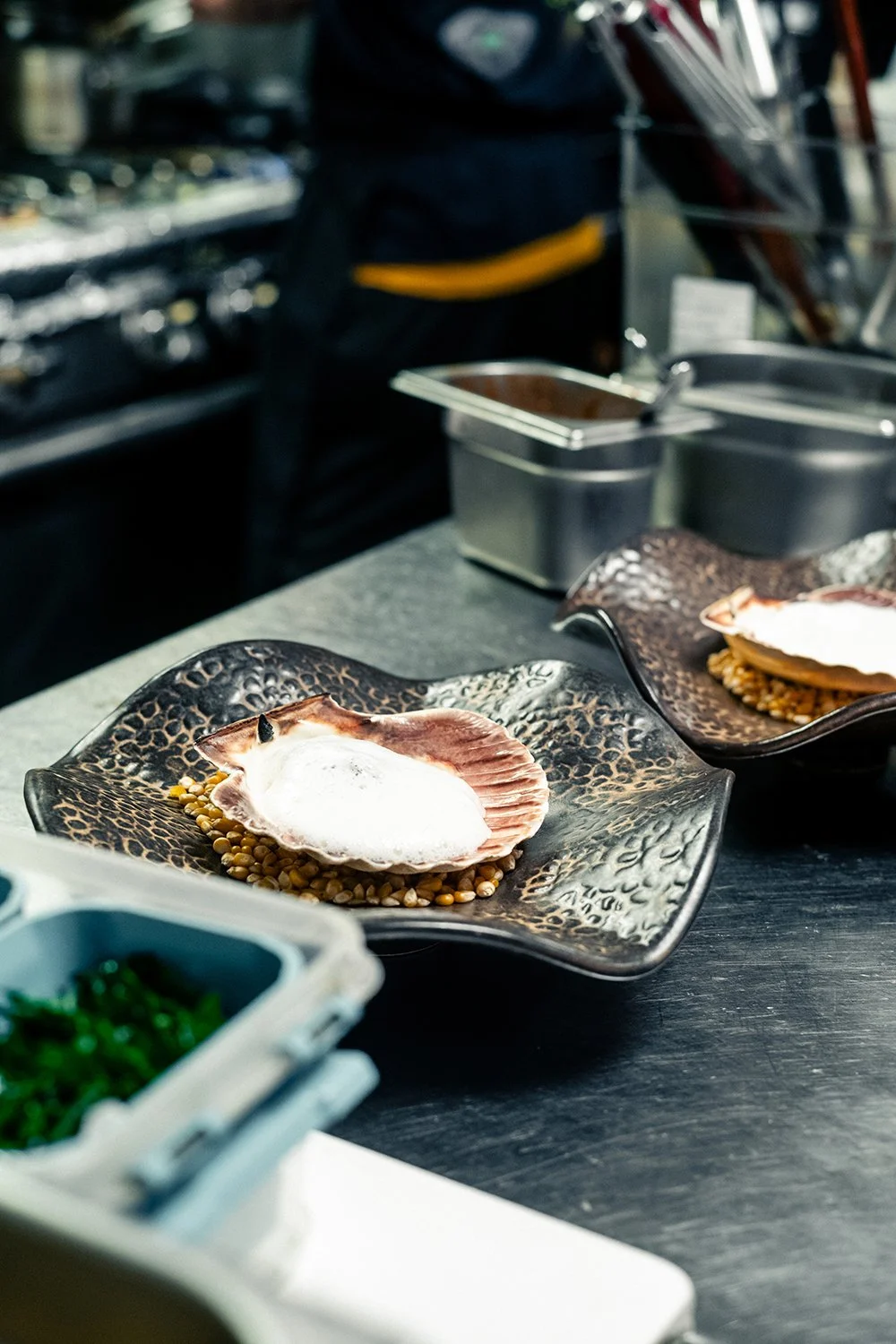 JOHN MARSLAND-1004187.jpg