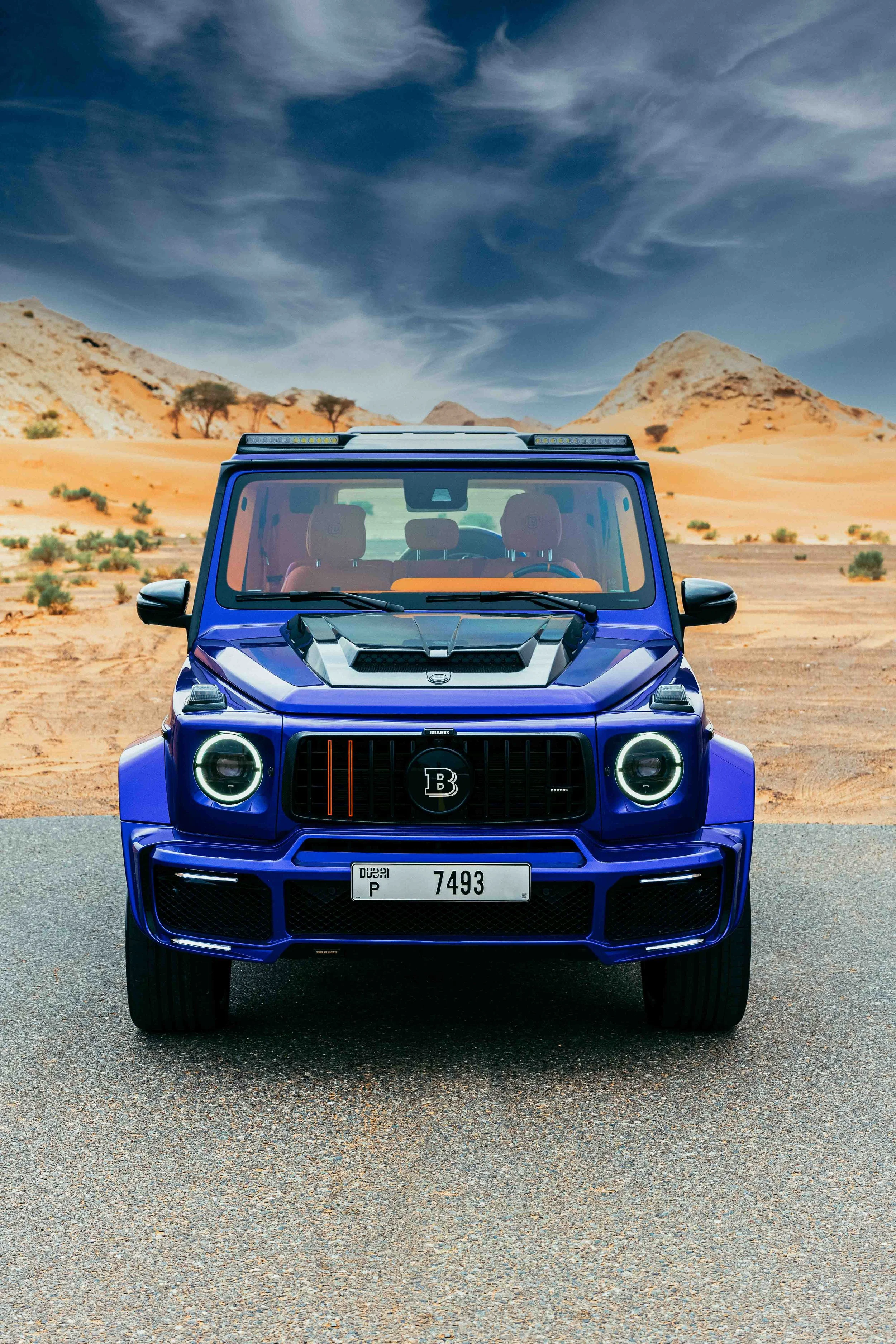 JOHN MARSLAND--96.jpg