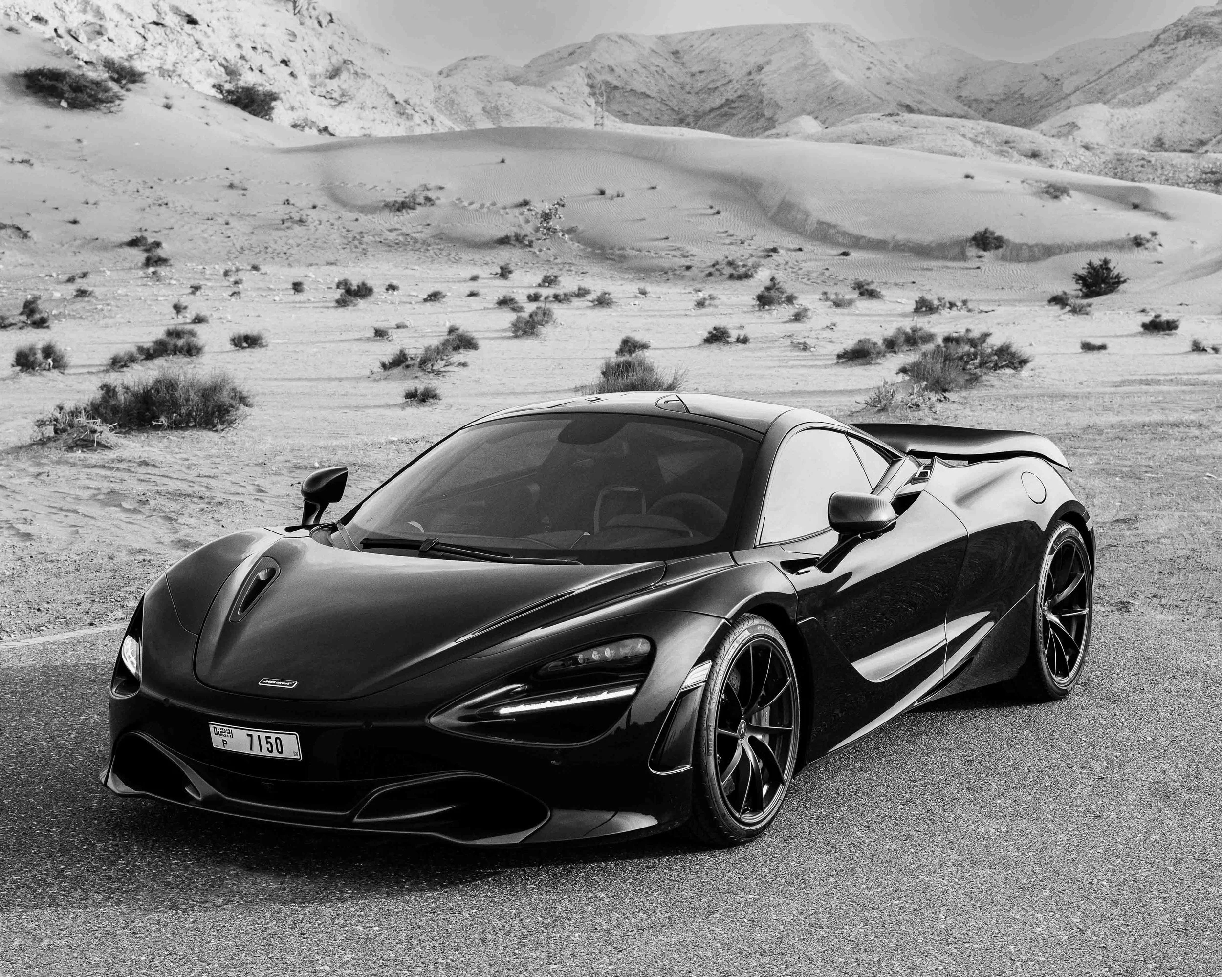 JOHN MARSLAND-1006940.jpg