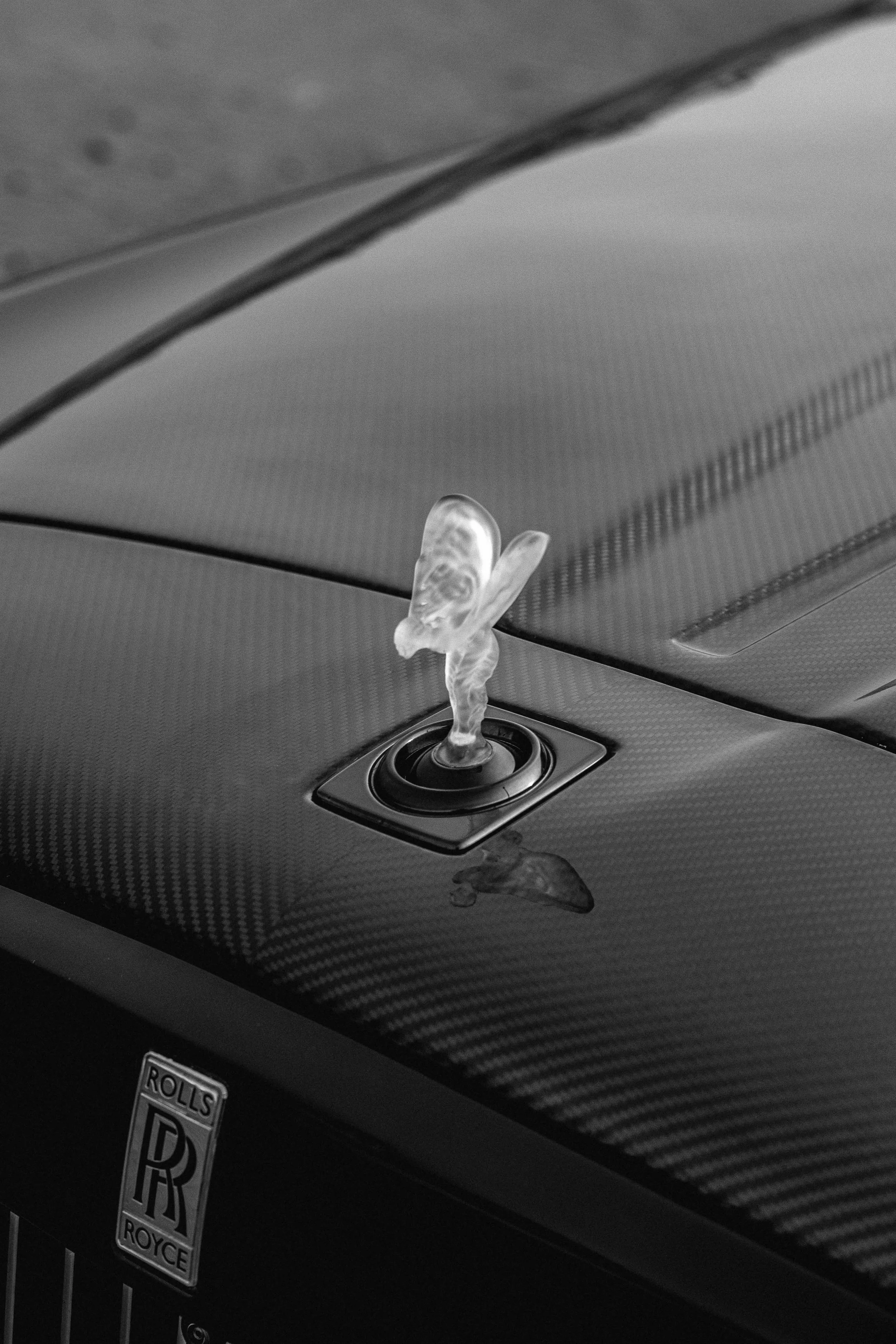 JOHN MARSLAND-1150203.jpg