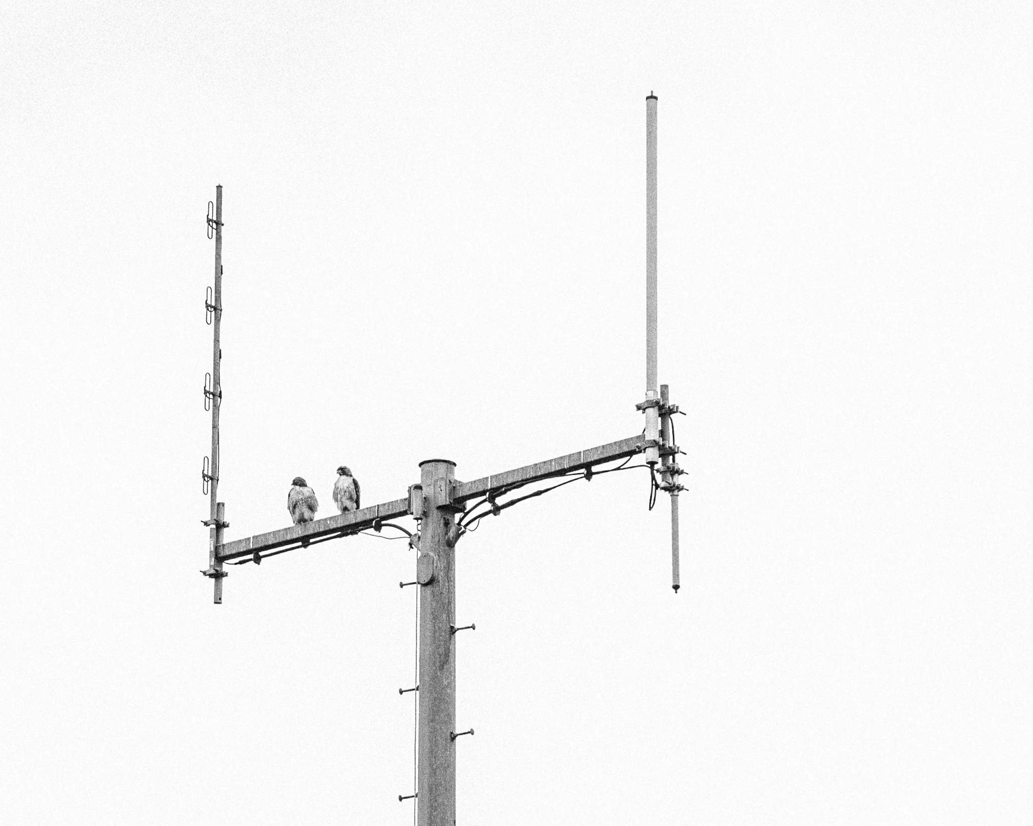 176A5317.jpg