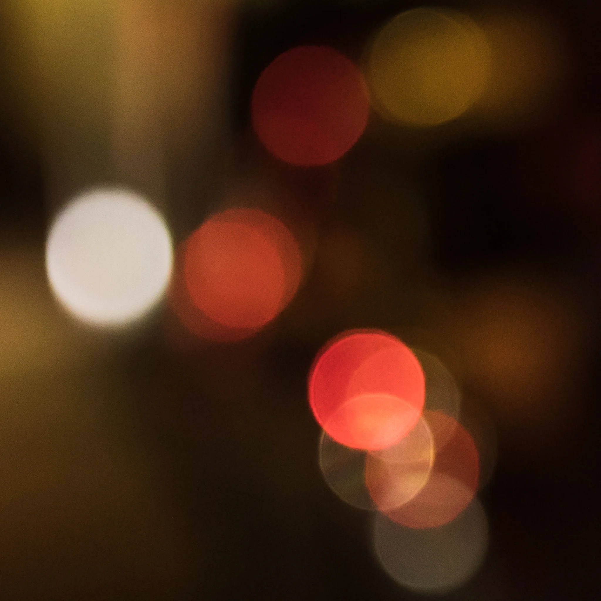 176A7401.jpg
