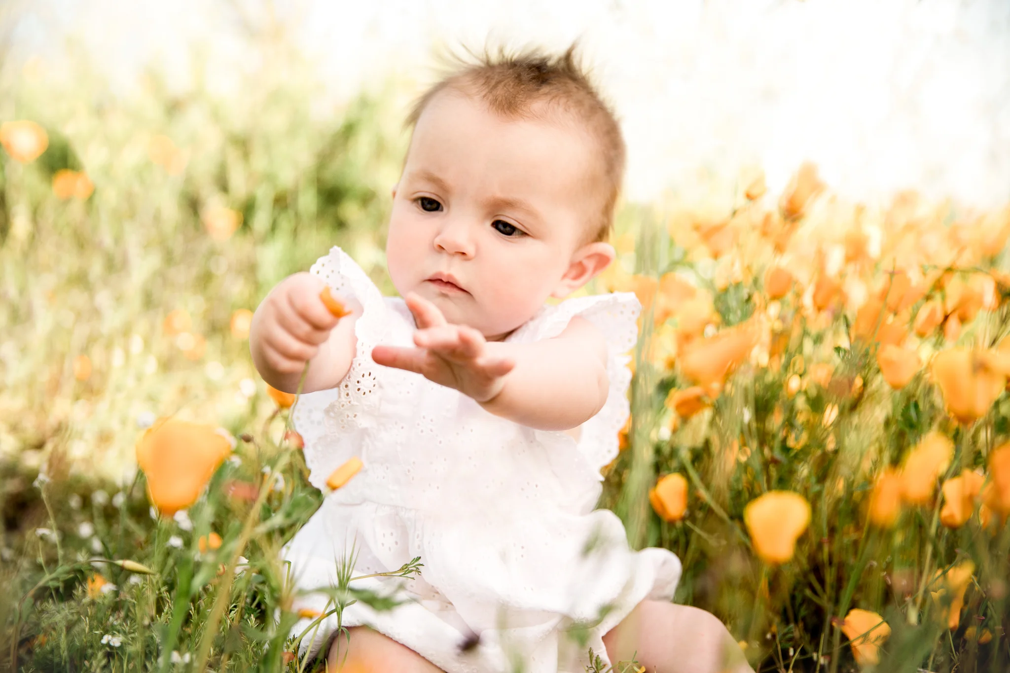 176A6534-Edit-Edit.jpg