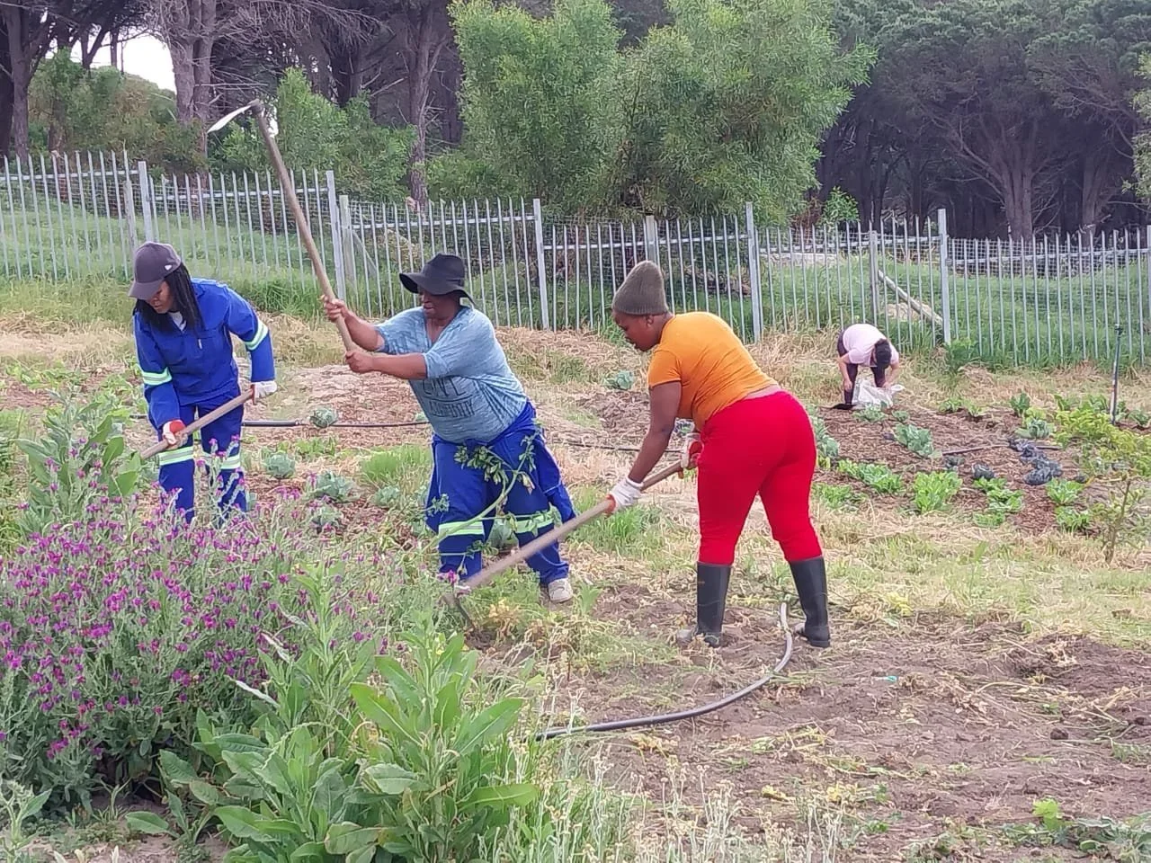 Garden of Hope is Growing!