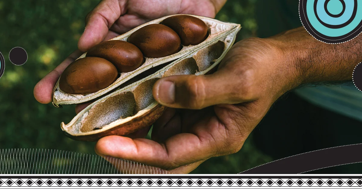 TTNQ Indigenous Experiences Social Media Assets7.jpg