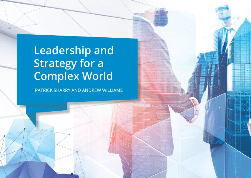 Leadership-and-Strategy-for-a-Complex-World-A4---Option-B-v5-1.jpg