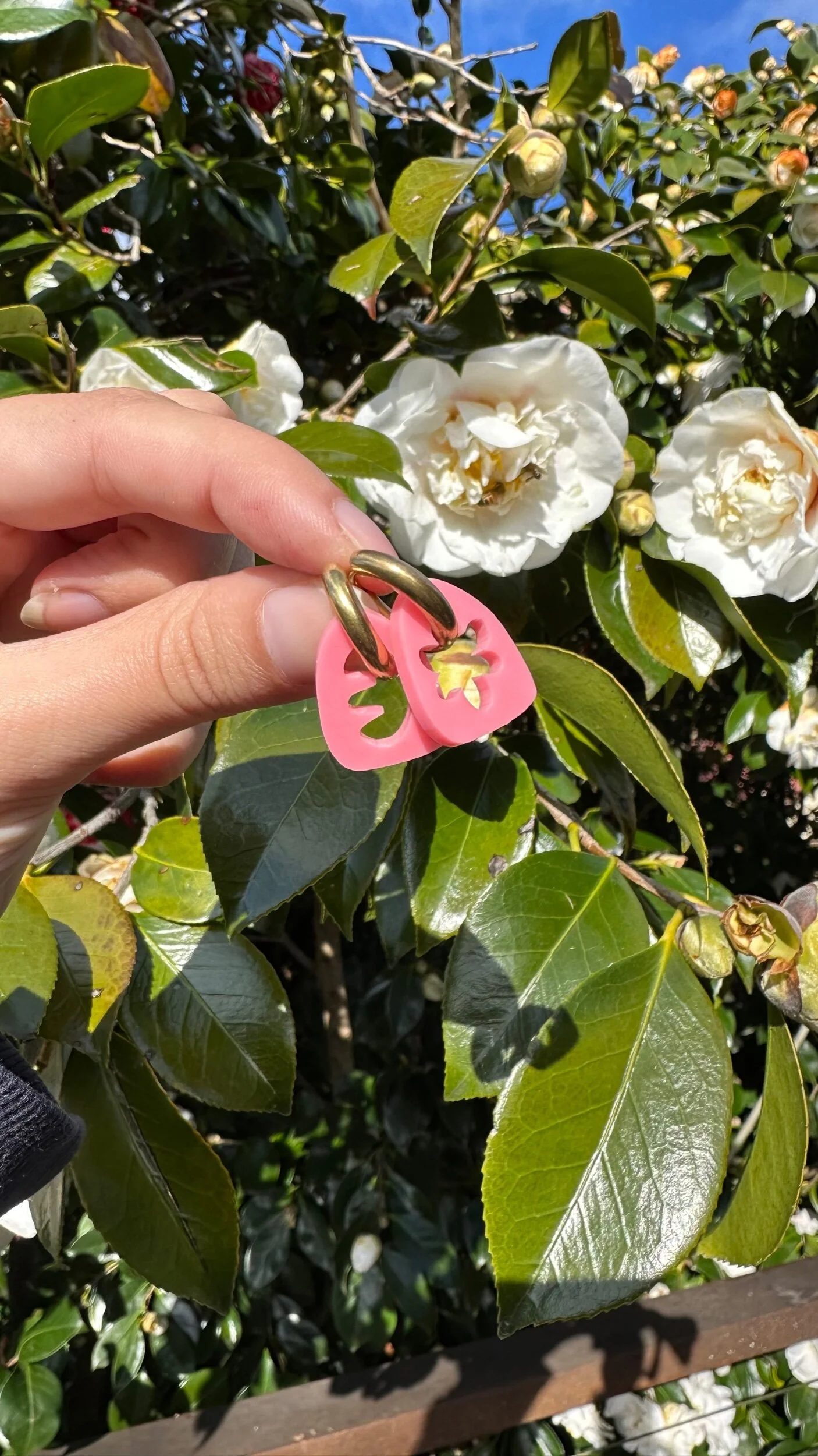 2AE38018-2F6F-4DE5-8EE6-530B0F1E5C6B