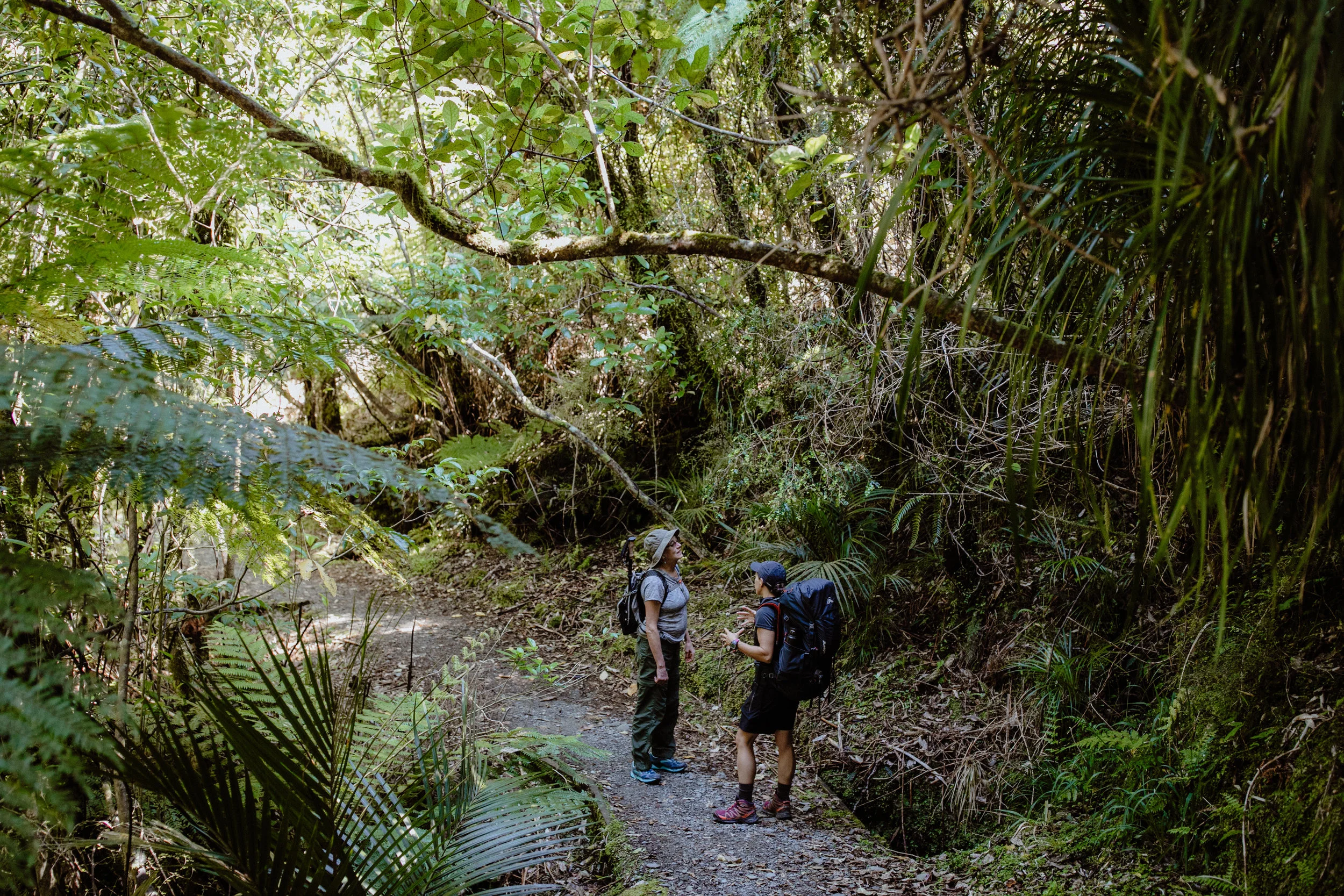 Wellness New Zealand-150.jpg