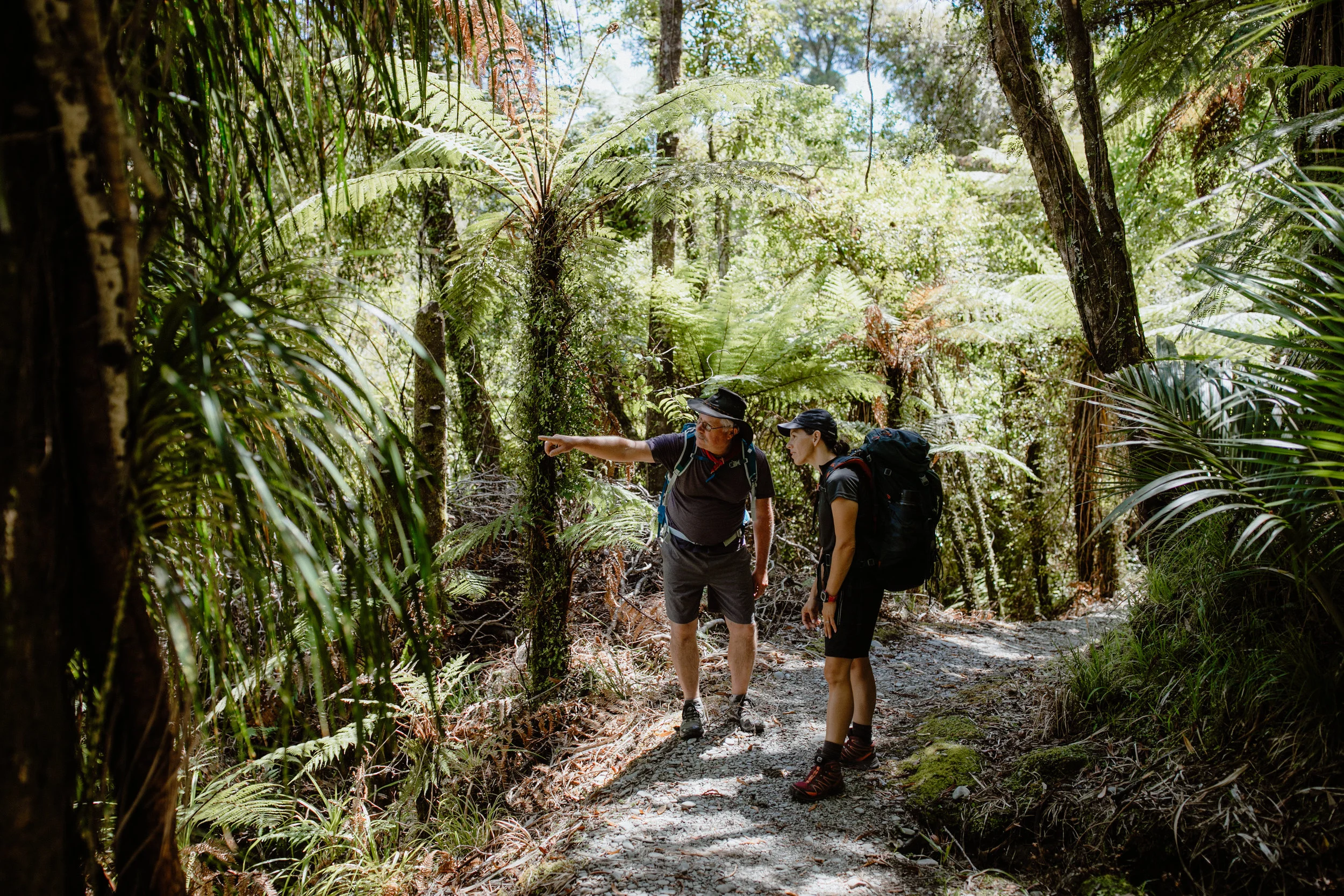 Wellness New Zealand-234.jpg