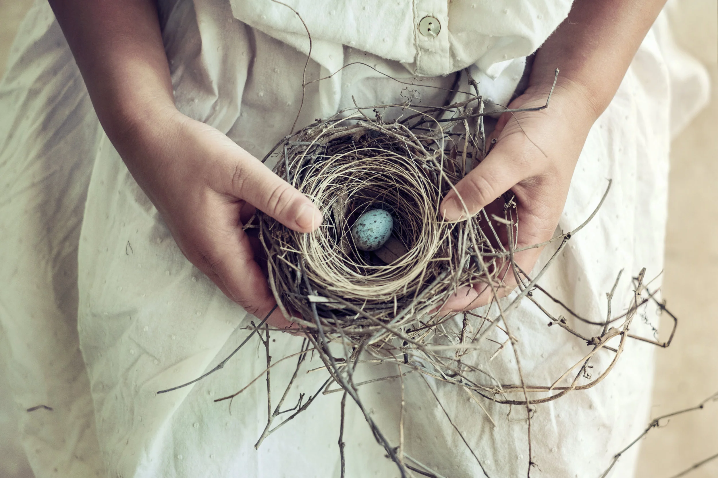 birds nest.jpeg