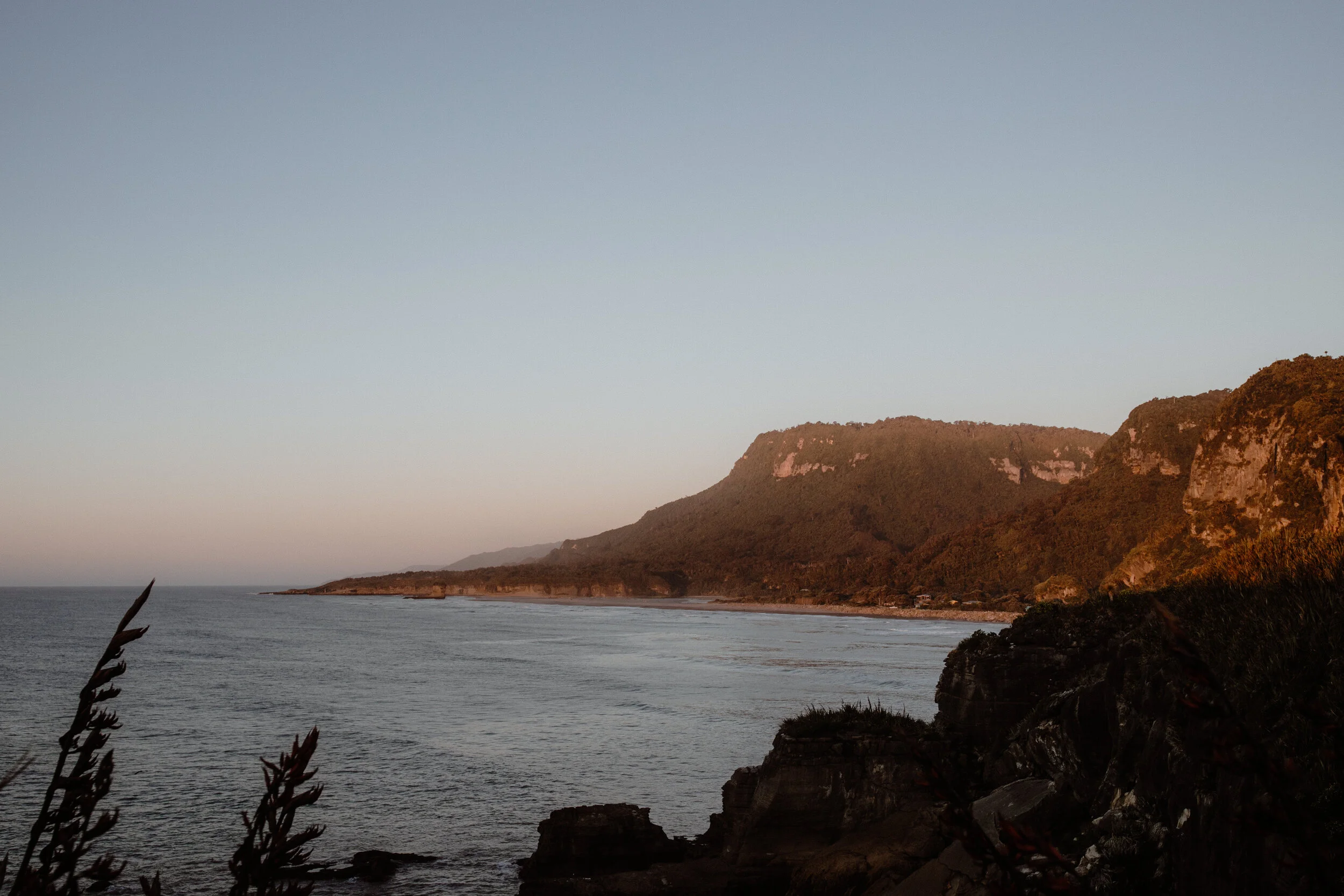 Wellness New Zealand-303.jpg