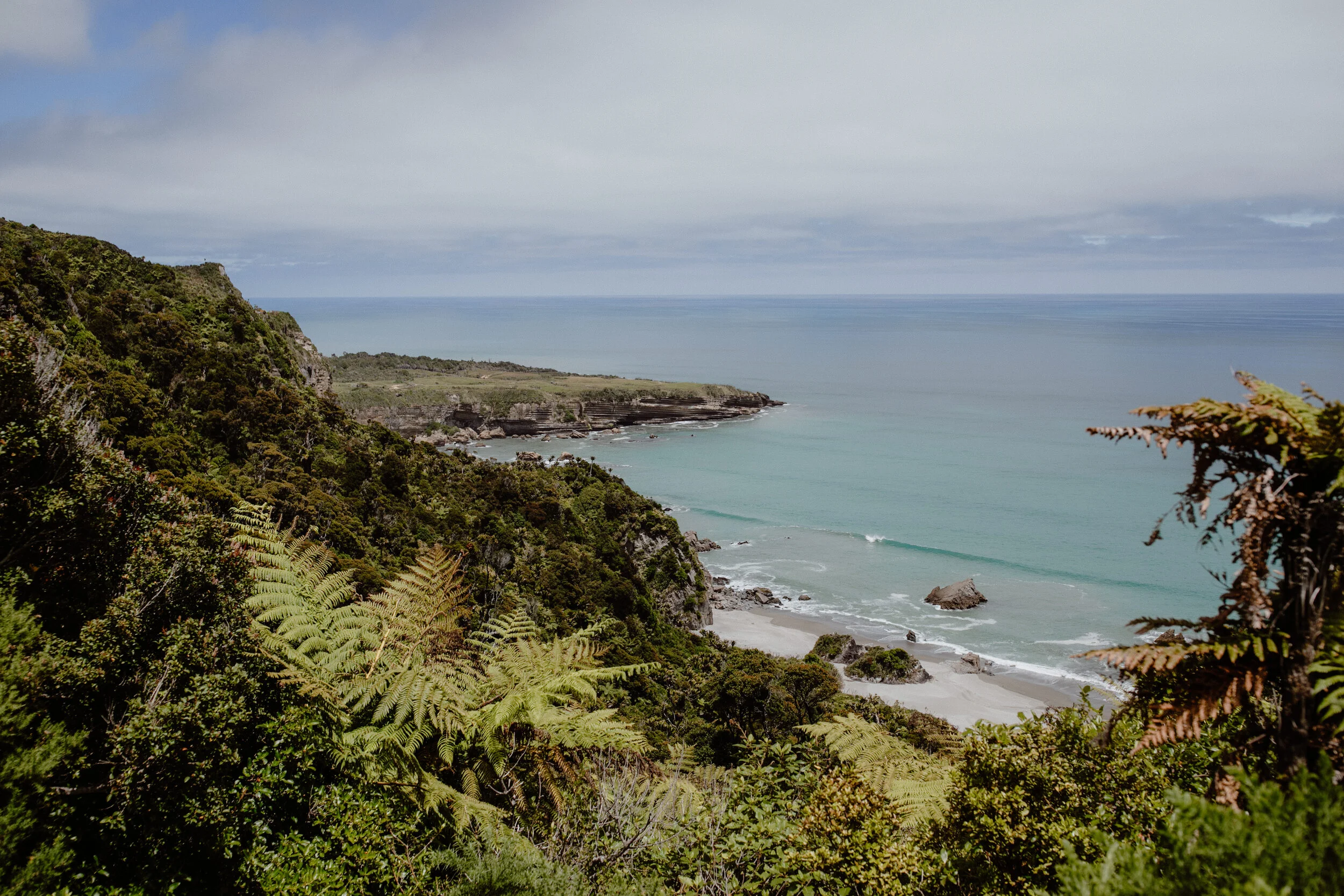 Wellness New Zealand-352.jpg