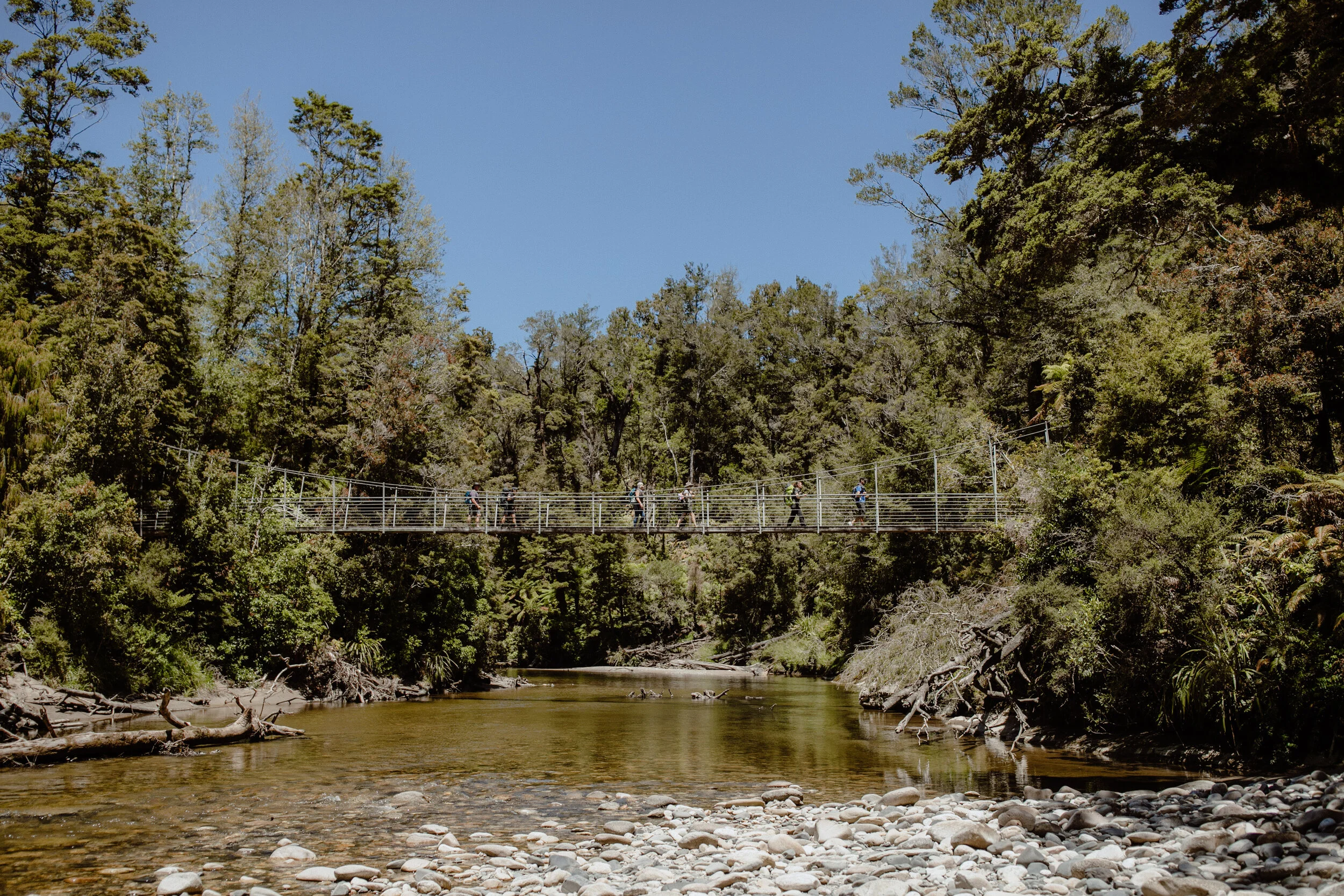 Wellness New Zealand-208.jpg