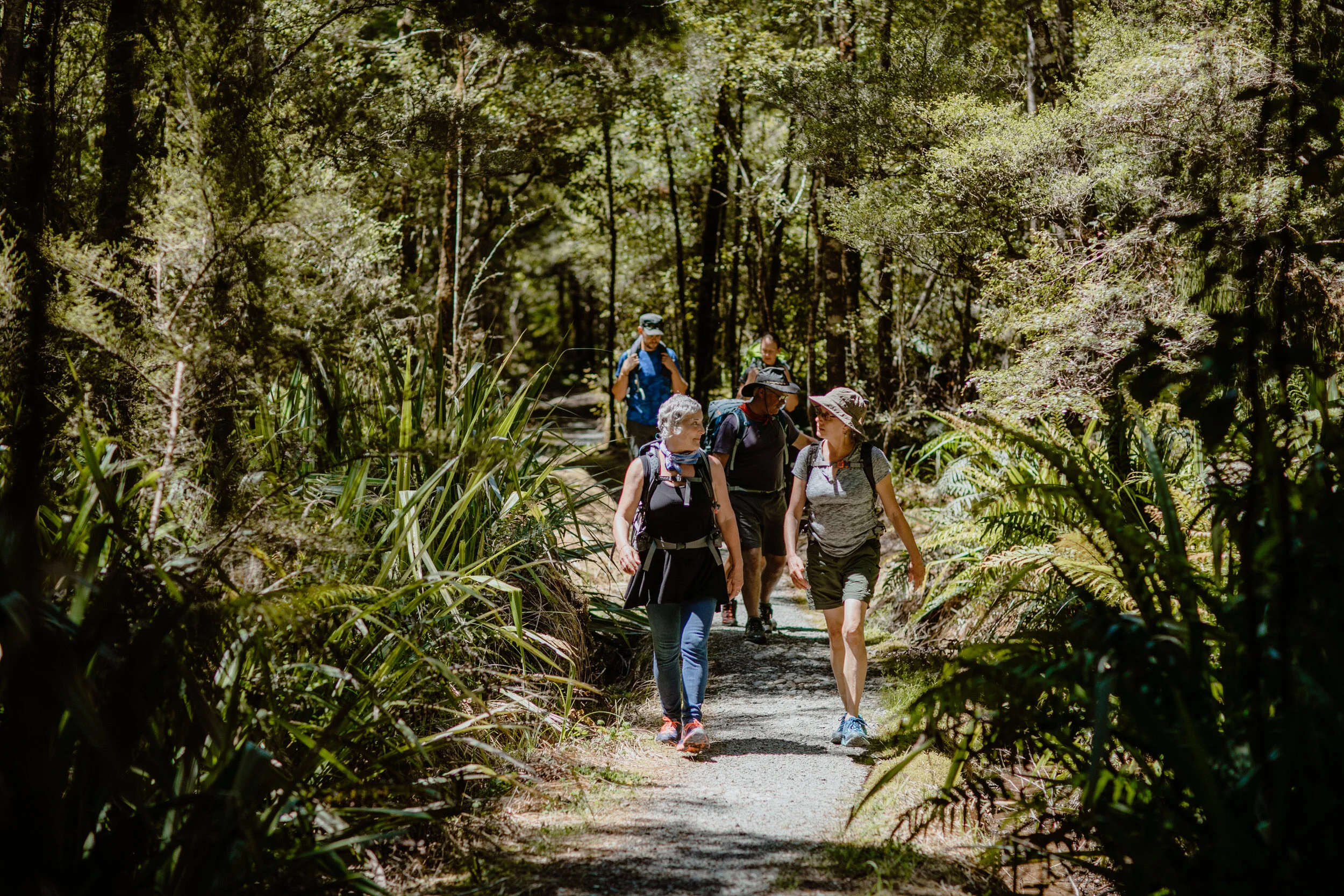 Wellness New Zealand-210.jpg