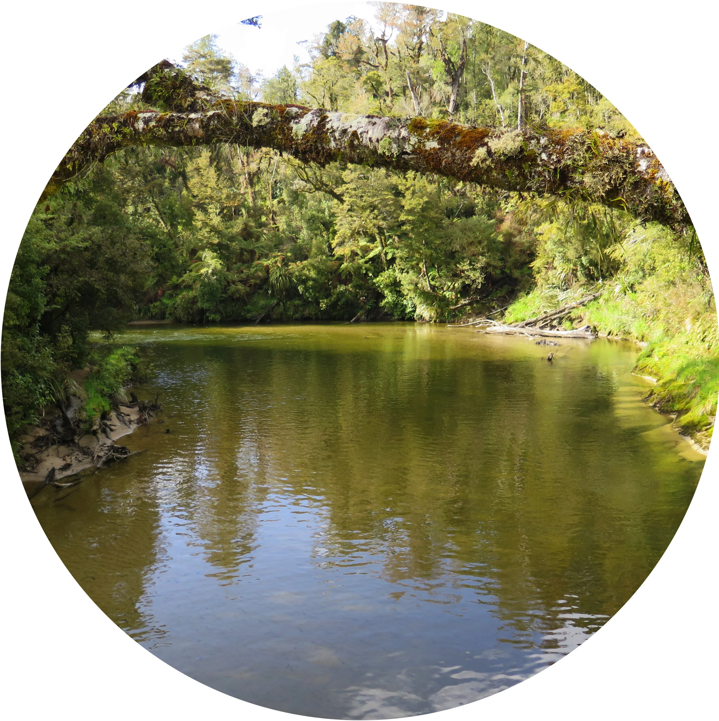 pororari river circle.jpg