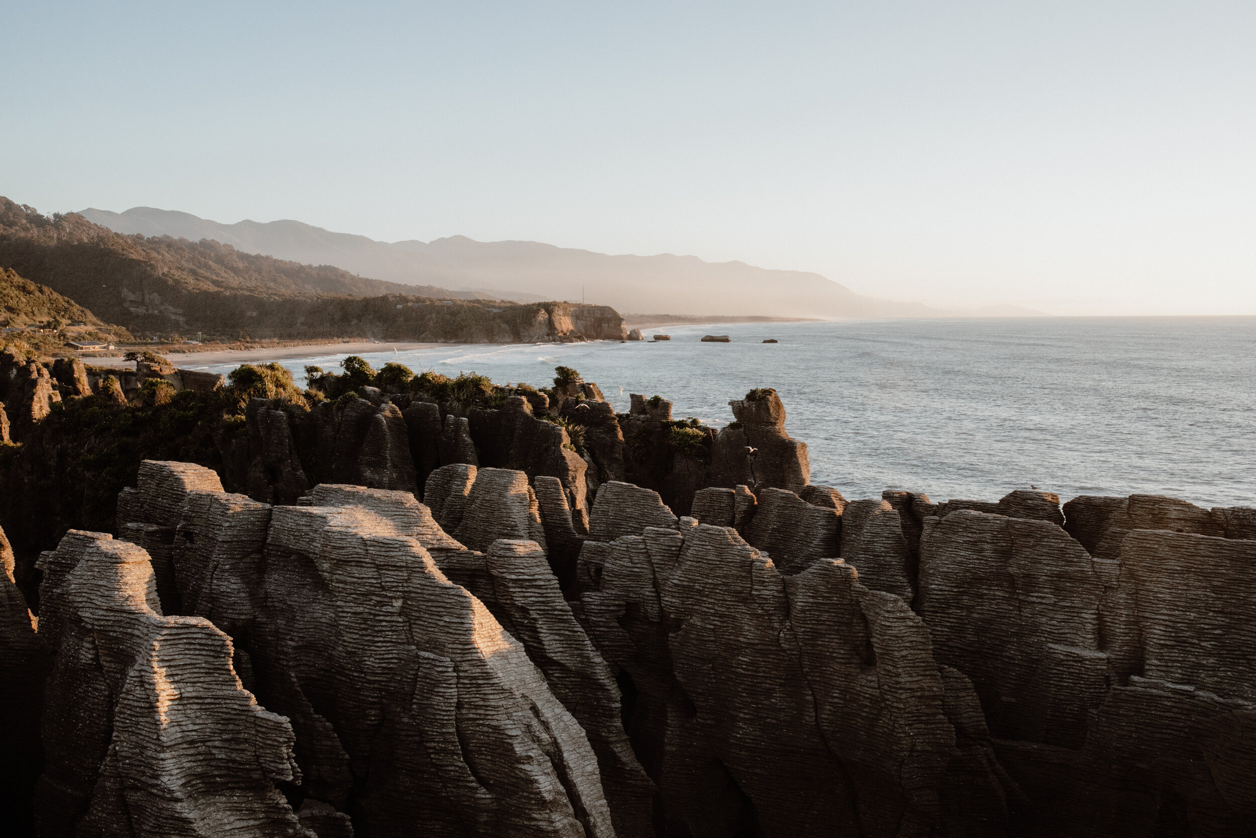 Wellness New Zealand-293.jpg