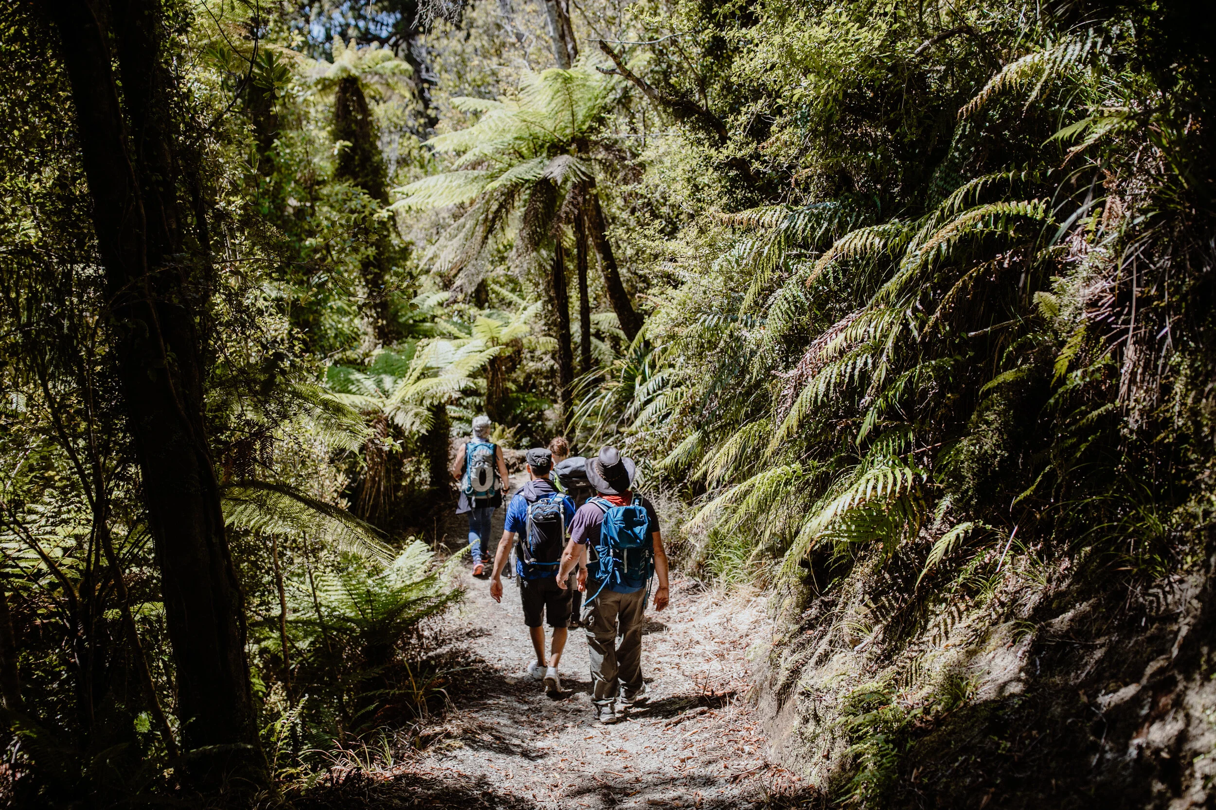 Wellness New Zealand-155.jpg