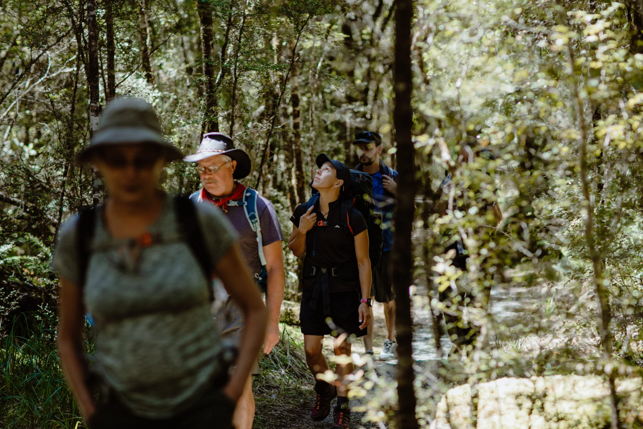 Wellness New Zealand-209.jpg