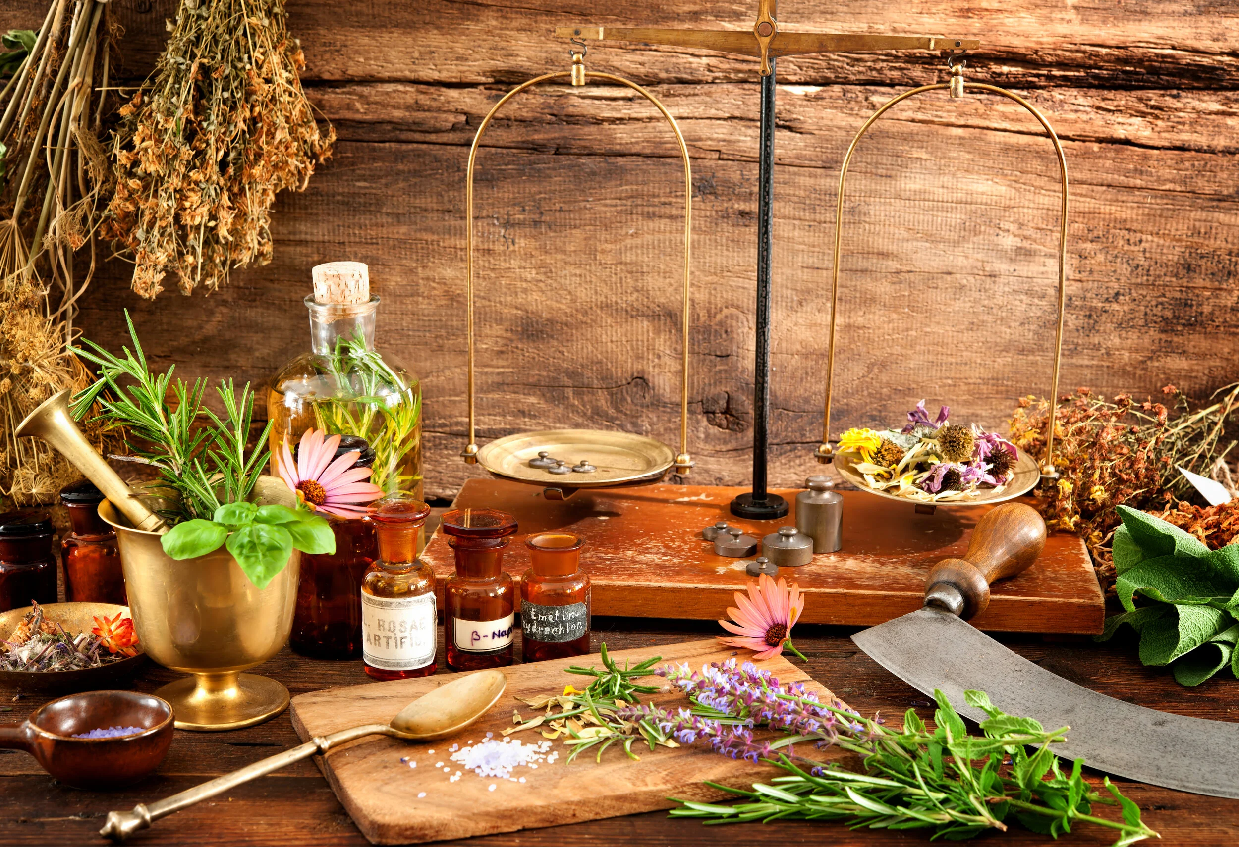 Naturopathy and Herbal Medicine Nelson Clinic — Wellness New Zealand