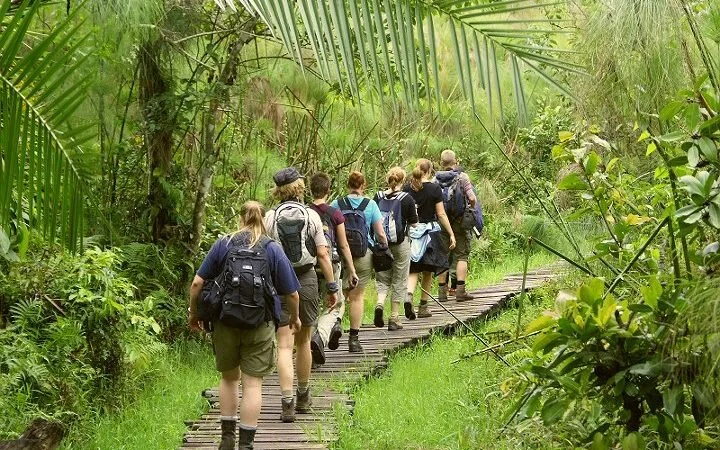 Bigodi-Swamp-720x450.jpg