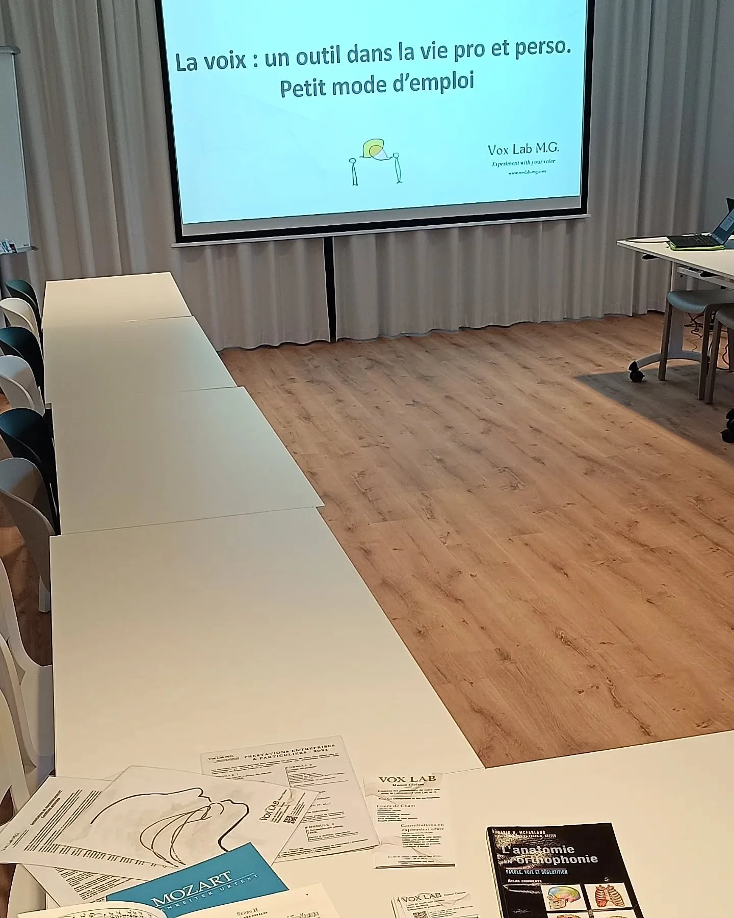 Busy week last week but here is a picture of what a lecture on oral skills for entrepreneurs looks like. 
Thumbs up for #femmesdebretagne for hosting the event. 

You don't know how to place your voice ? 
What to say when and how ?
Need to speak in p