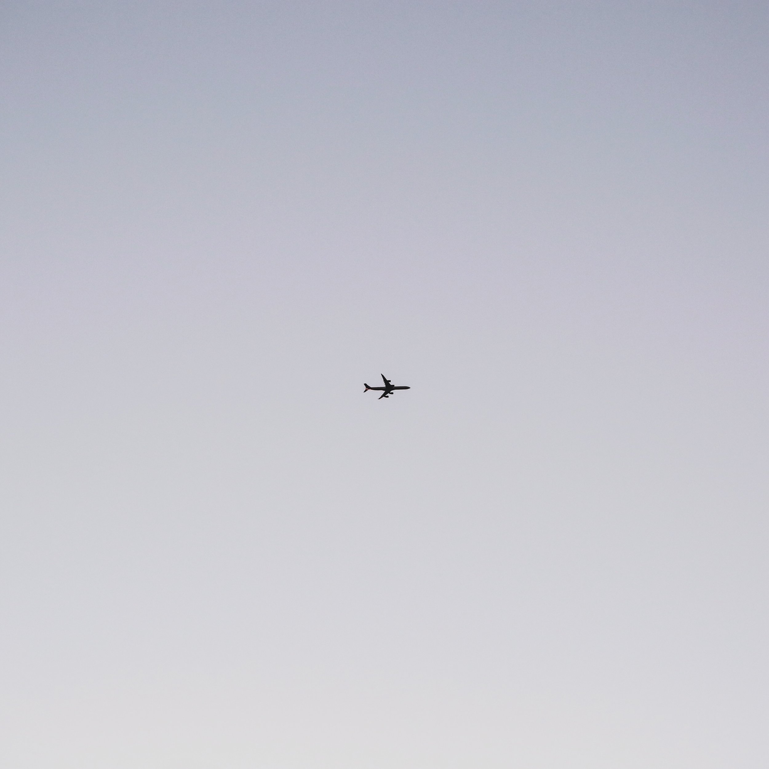 15 MARZO: 12.000 passi con il solo rumore di un aereo diretto lontano