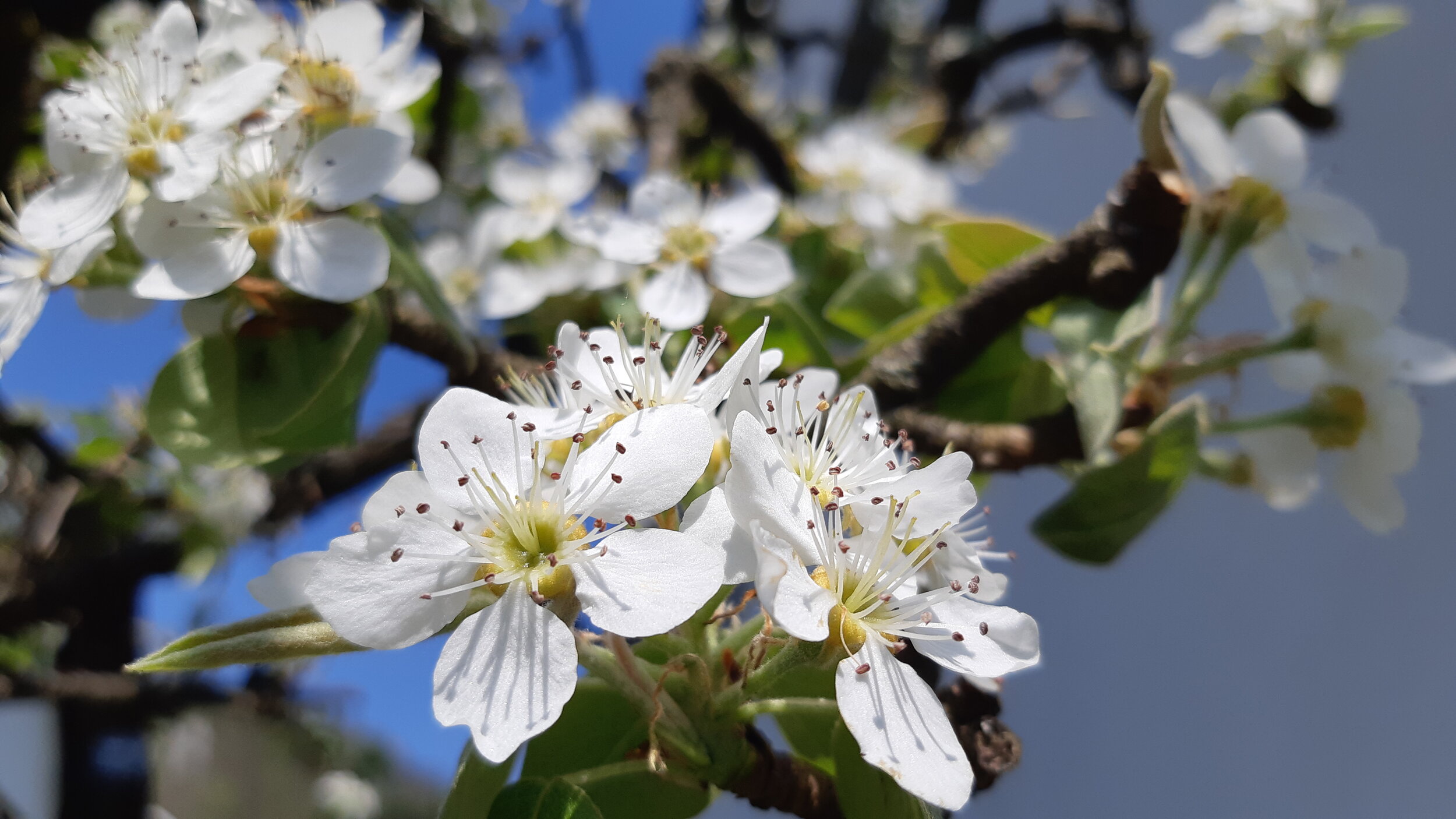 12. APRIL: Lepe praznike