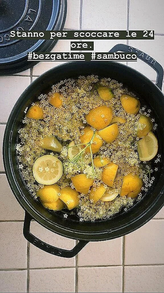 05 maggio: sciroppo di sambuco