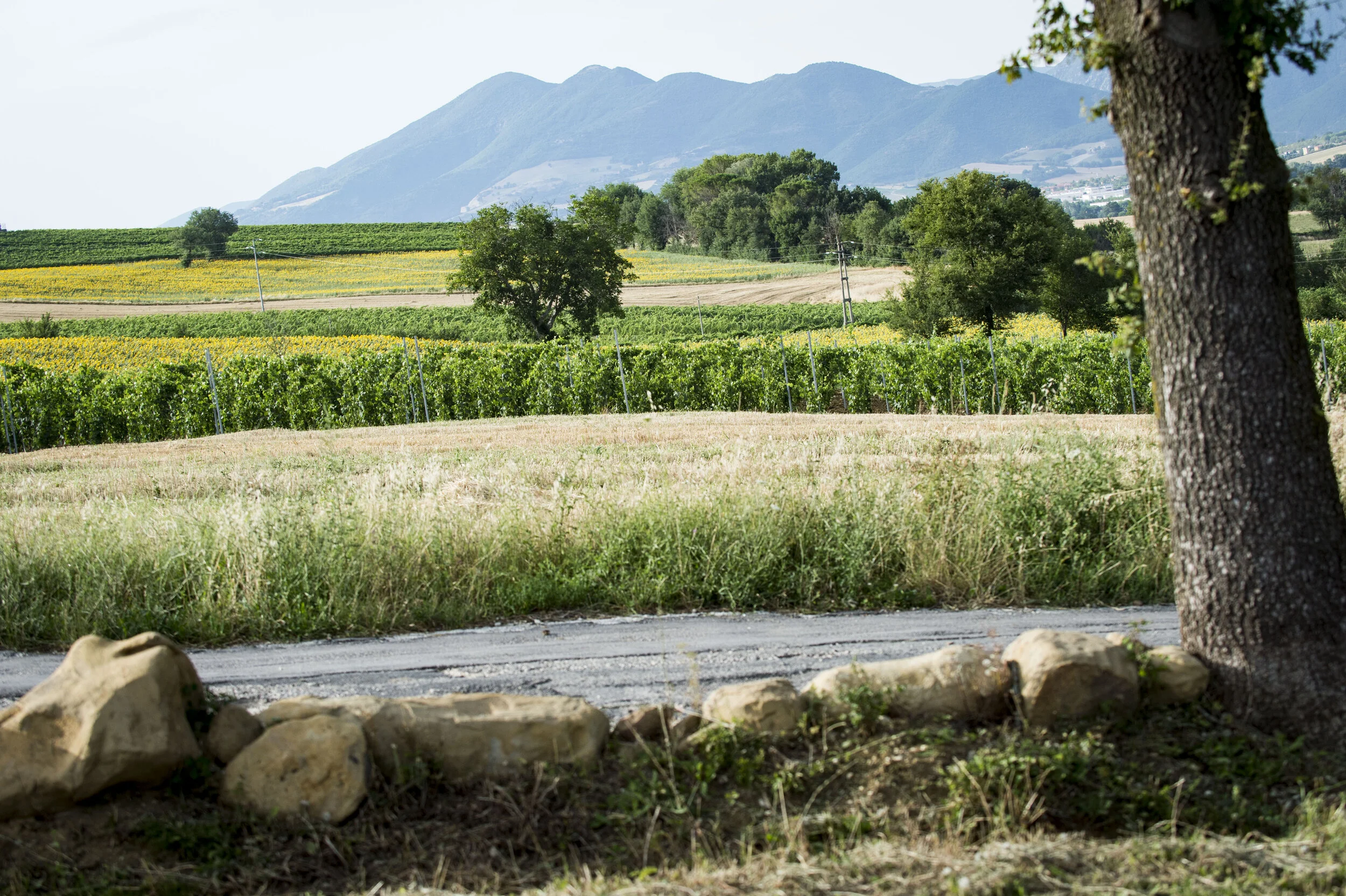 17 maggio: la bottiglia d'annata