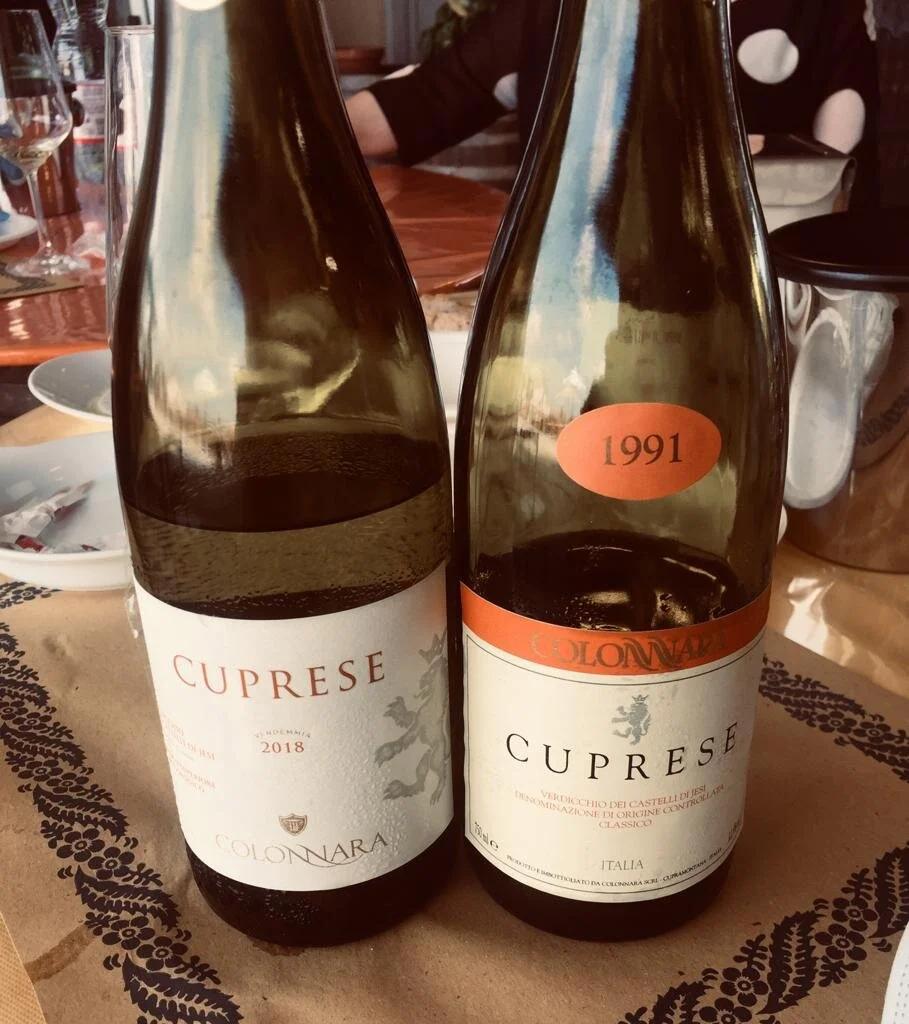 Vivere l'analessi enologica - Colonnara