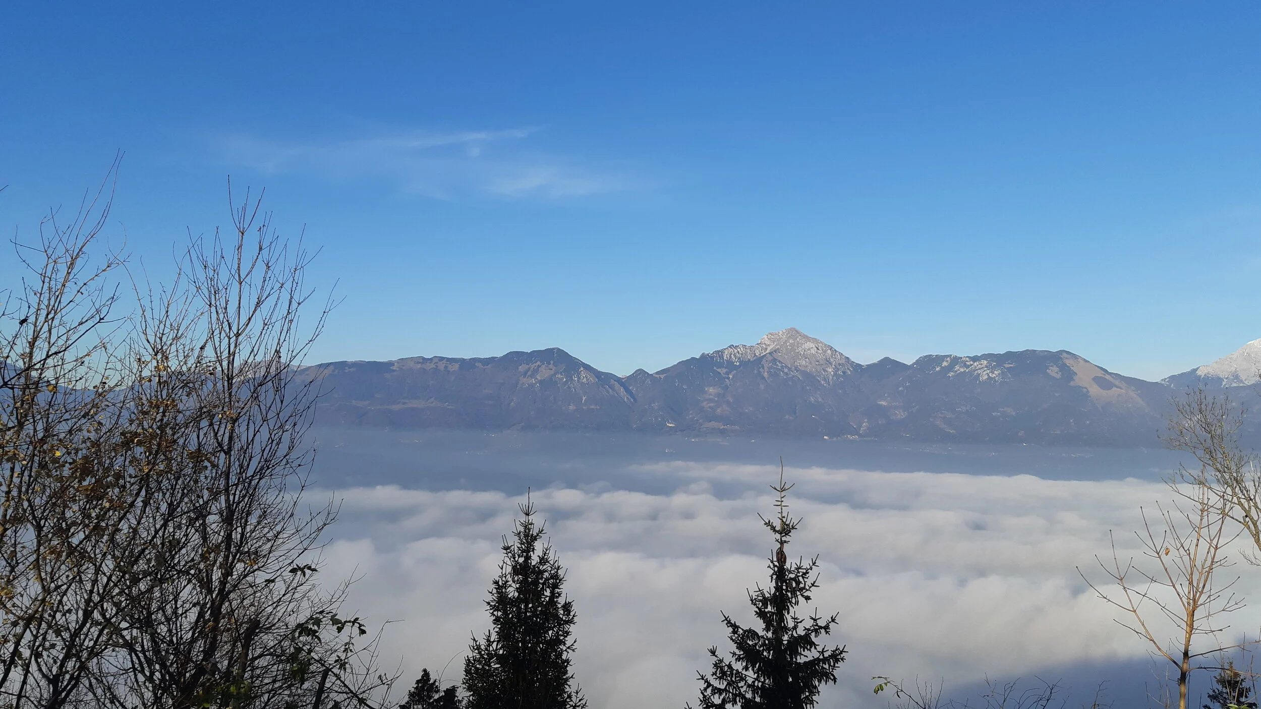 4. DECEMBER: Še en rojstni dan