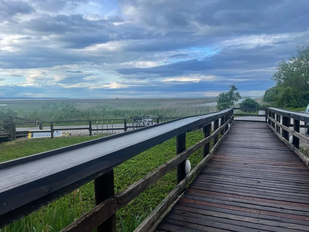Stakeholders mapping - la via per gestire le relazioni aziendali