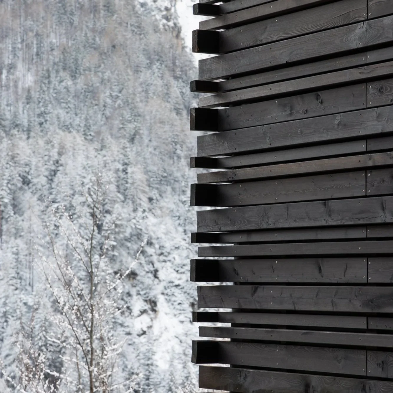 The corner’s intertwined larch façade planks ease the transition between the house and the landscape.