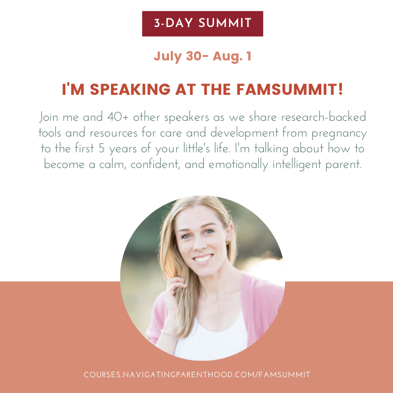 3 DAY FAMSUMMIT