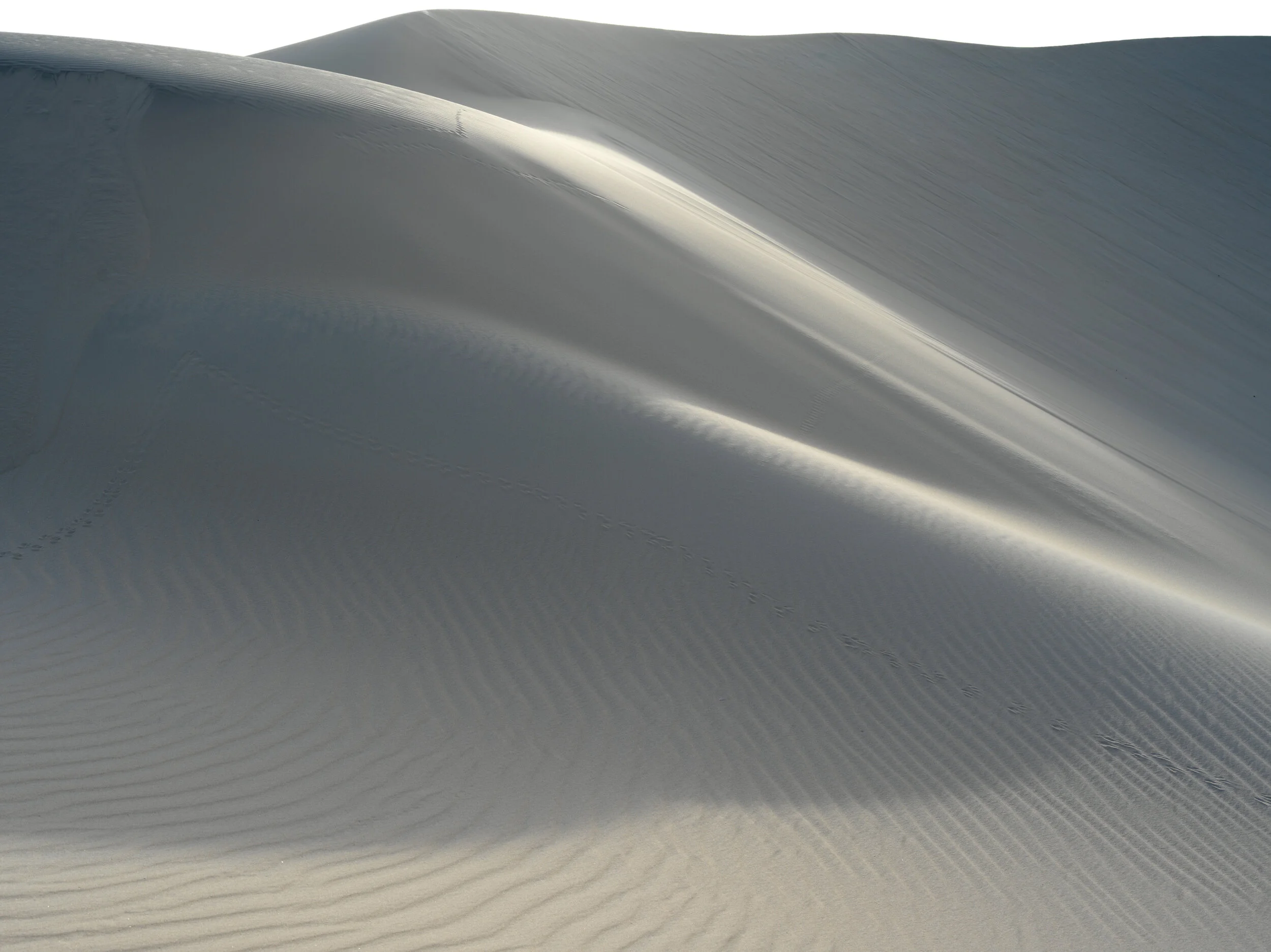 Edition of 3: 120 x 160 cm ( 2/3 left )Edition of 5: 60 x 80 cmEdition of 5: 30 x 40 cm