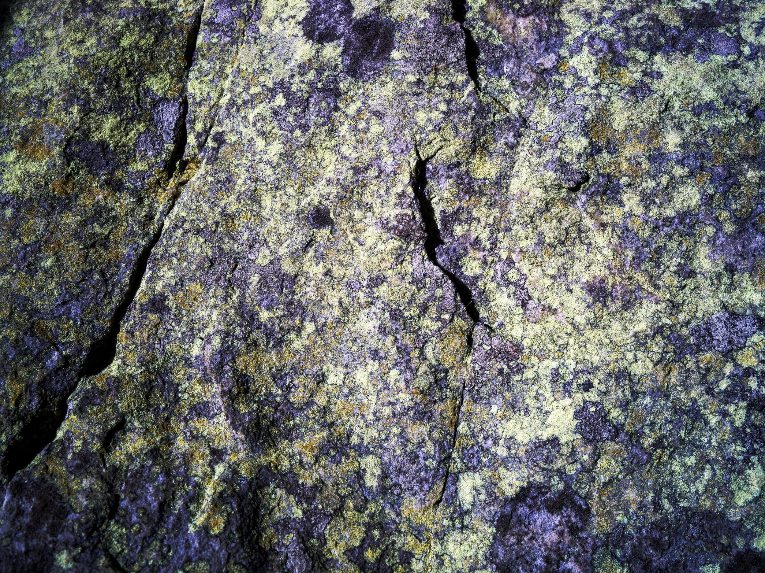 Edition of 3: 120 x 160 cmEdition of 5: 60 x 80 cmEdition of 5: 30 x 40 cm