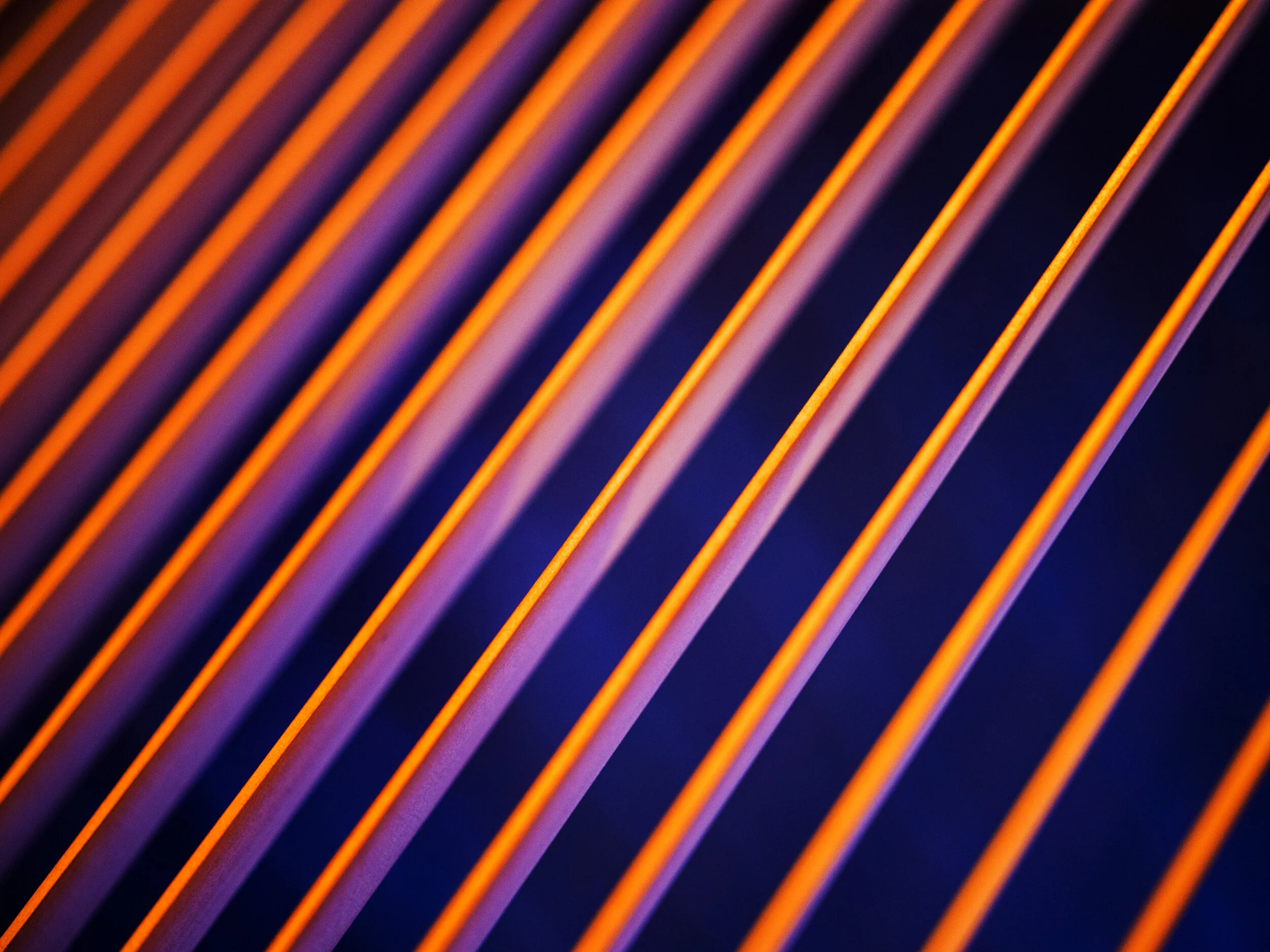 Edition of 2: 120 x 160 cmEdition of 3: 60 x 80 cmEdition of 3: 30 x 40 cm