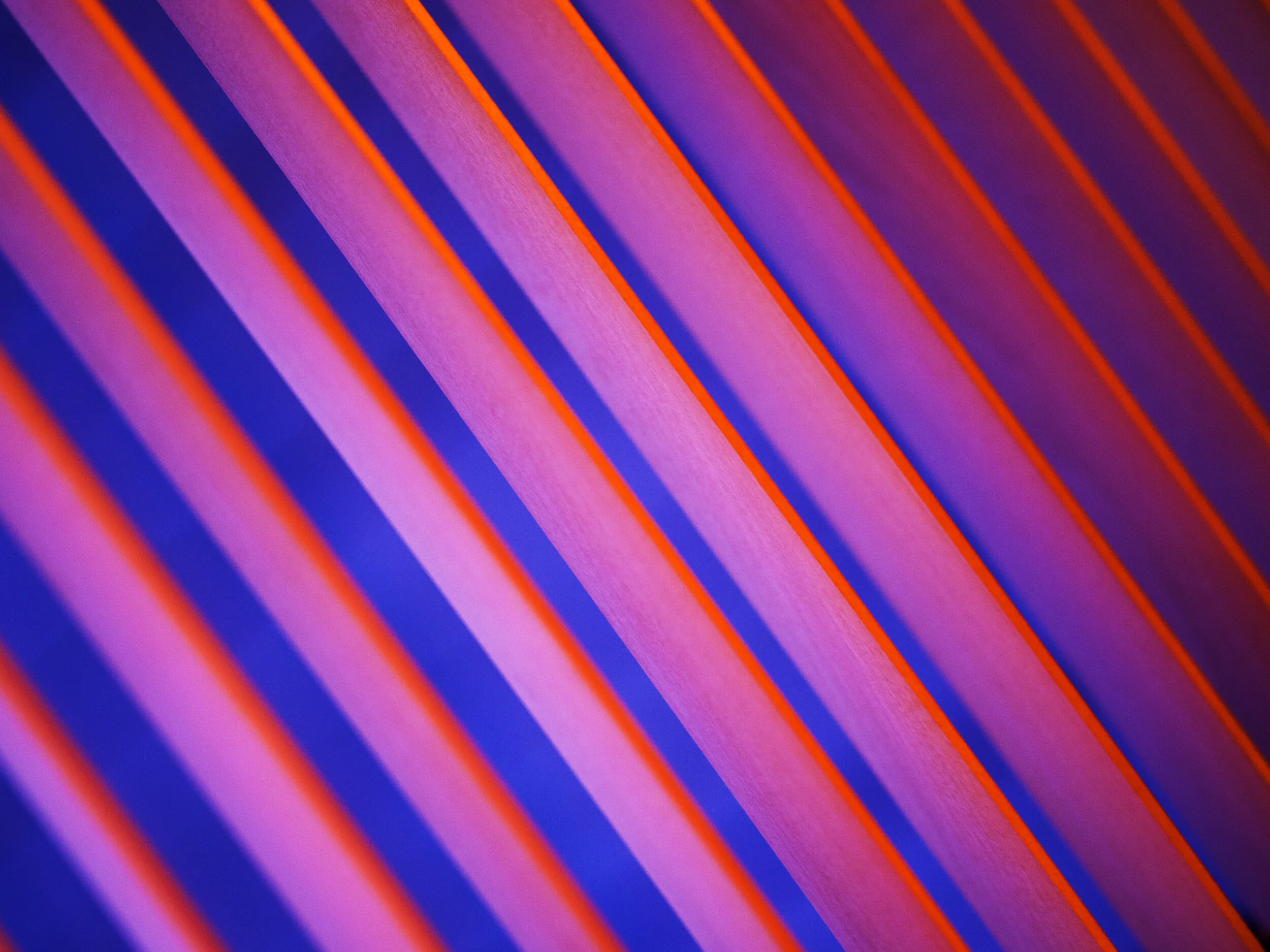 Edition of 2: 120 x 160 cmEdition of 3: 60 x 80 cmEdition of 3: 30 x 40 cm