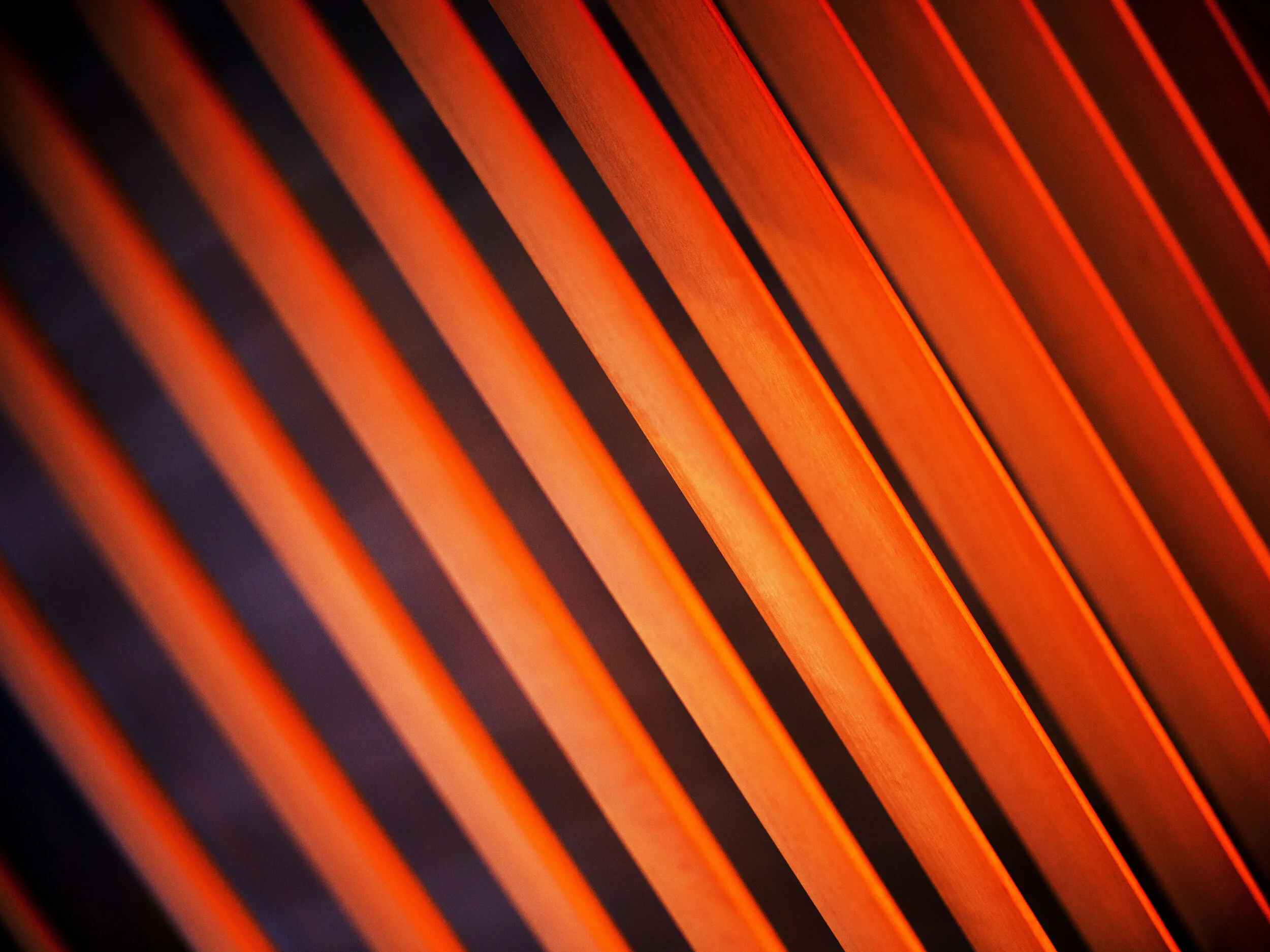 Edition of 2: 120 x 160 cmEdition of 3: 60 x 80 cmEdition of 3: 30 x 40 cm