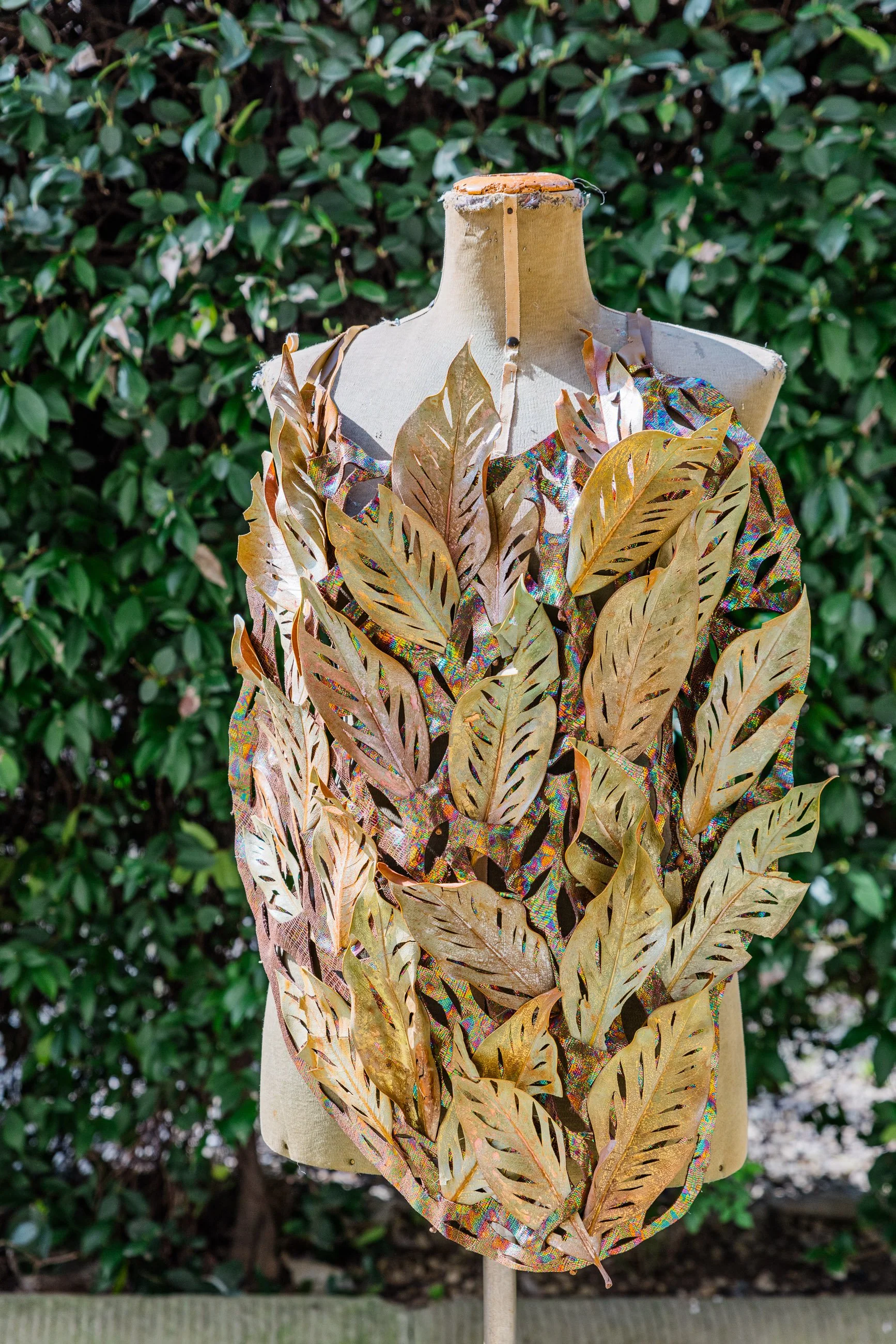 Leaves of the Self 2024 