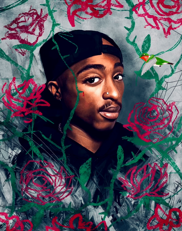 Rose from concrete.gif
