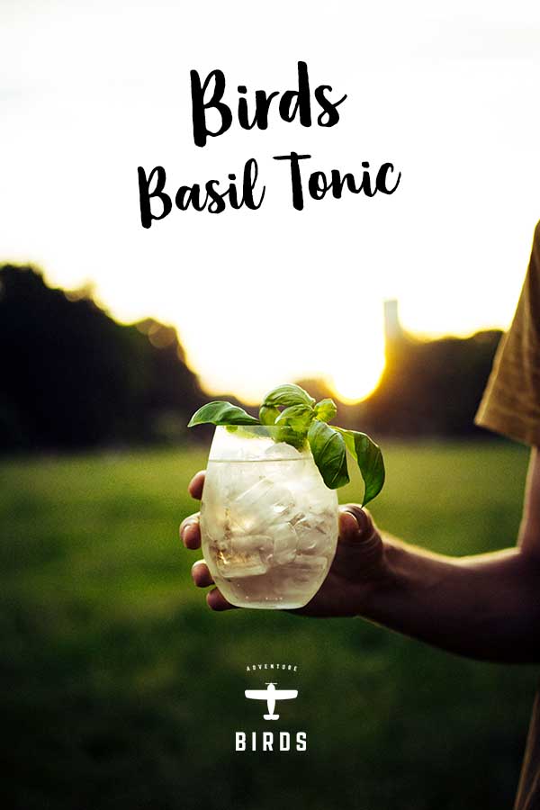 Birds-Dry-Gin-Basil-Tonic.jpg